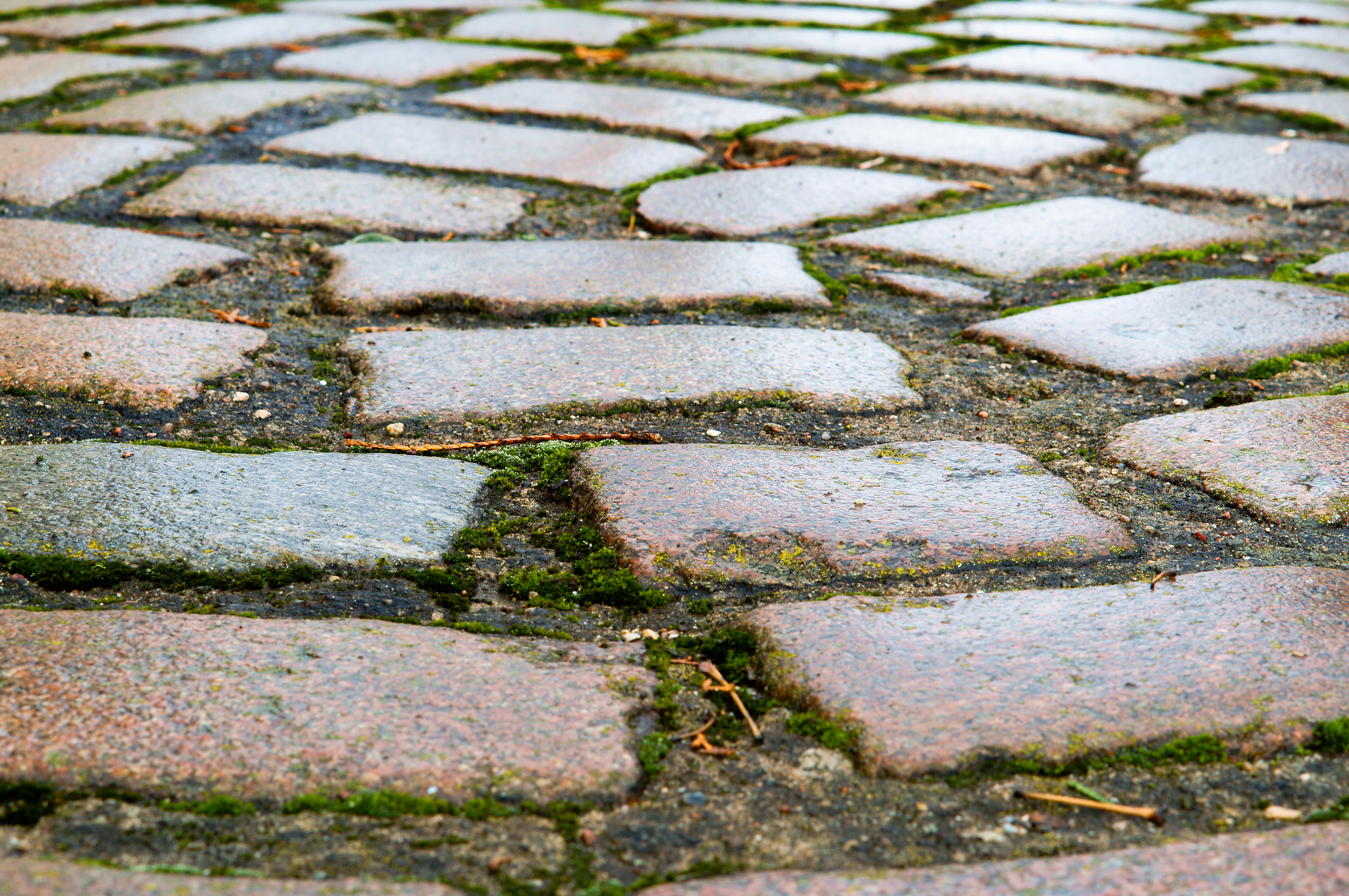 Sony Alpha NEX-3N + E 50mm F1.8 OSS sample photo. Bricks, buildings, pavers photography