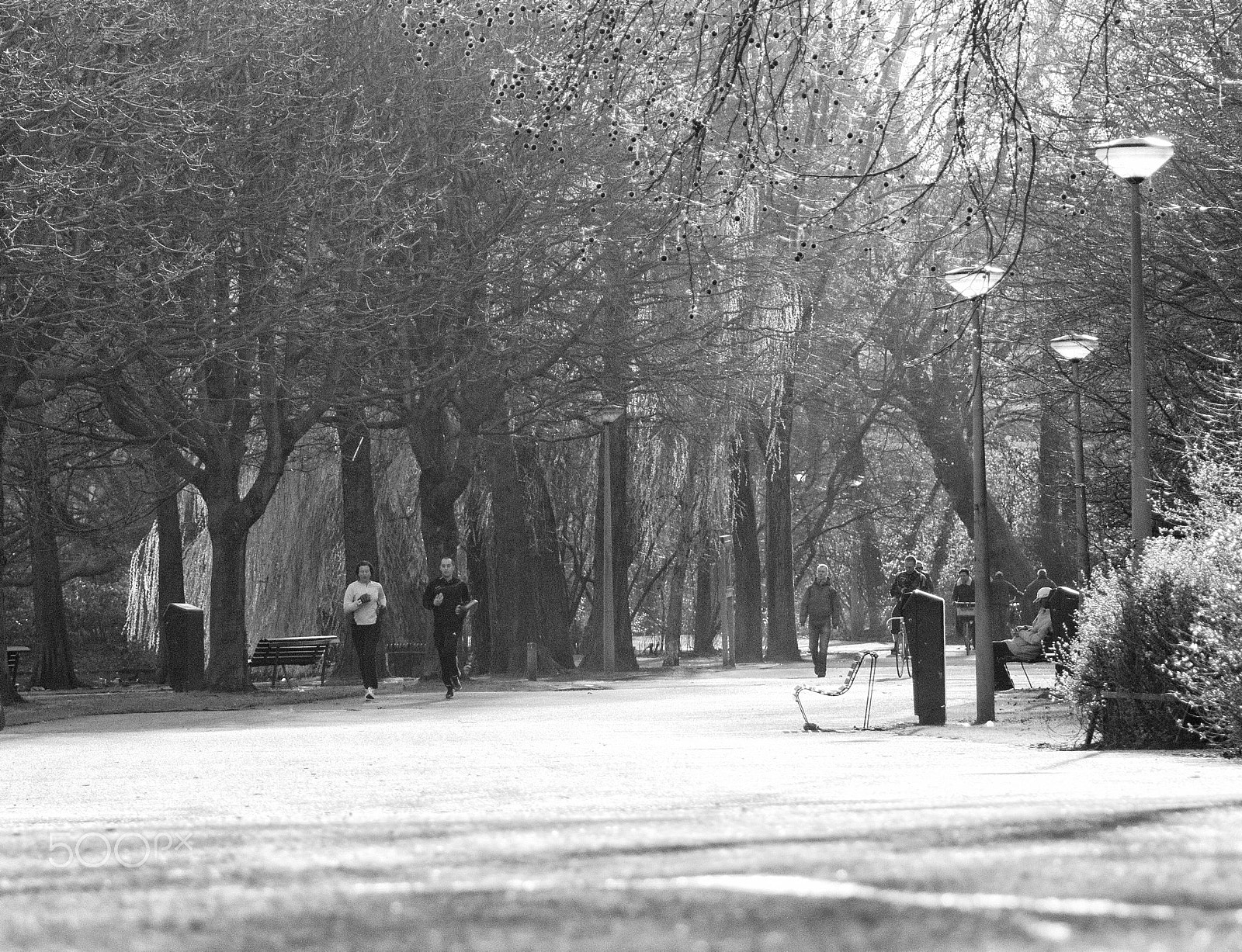 Sony Alpha DSLR-A550 sample photo. In the park photography