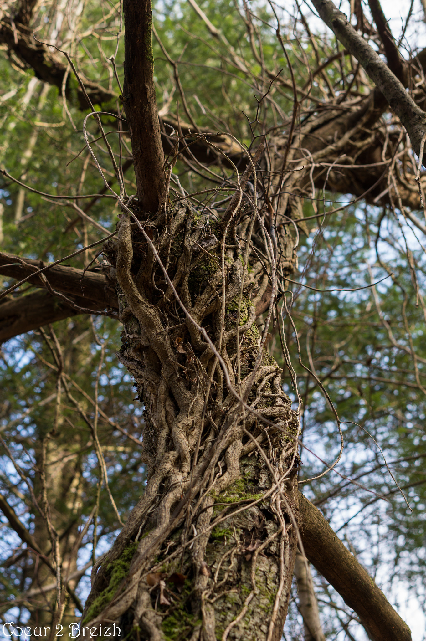 Sony Alpha NEX-6 + E 50mm F1.8 OSS sample photo. Life  photography