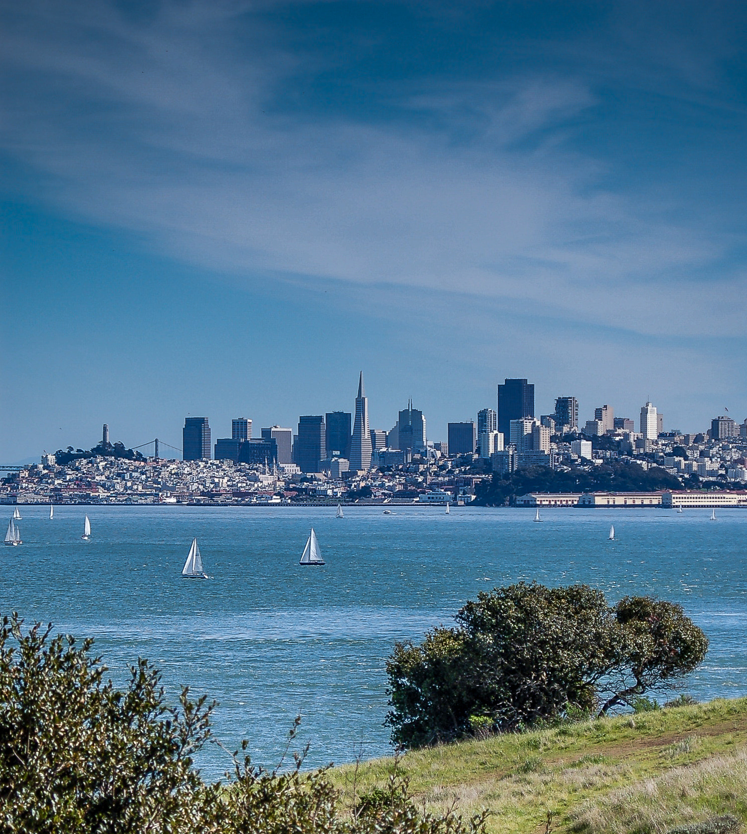 Nikon D50 sample photo. San francisco photography
