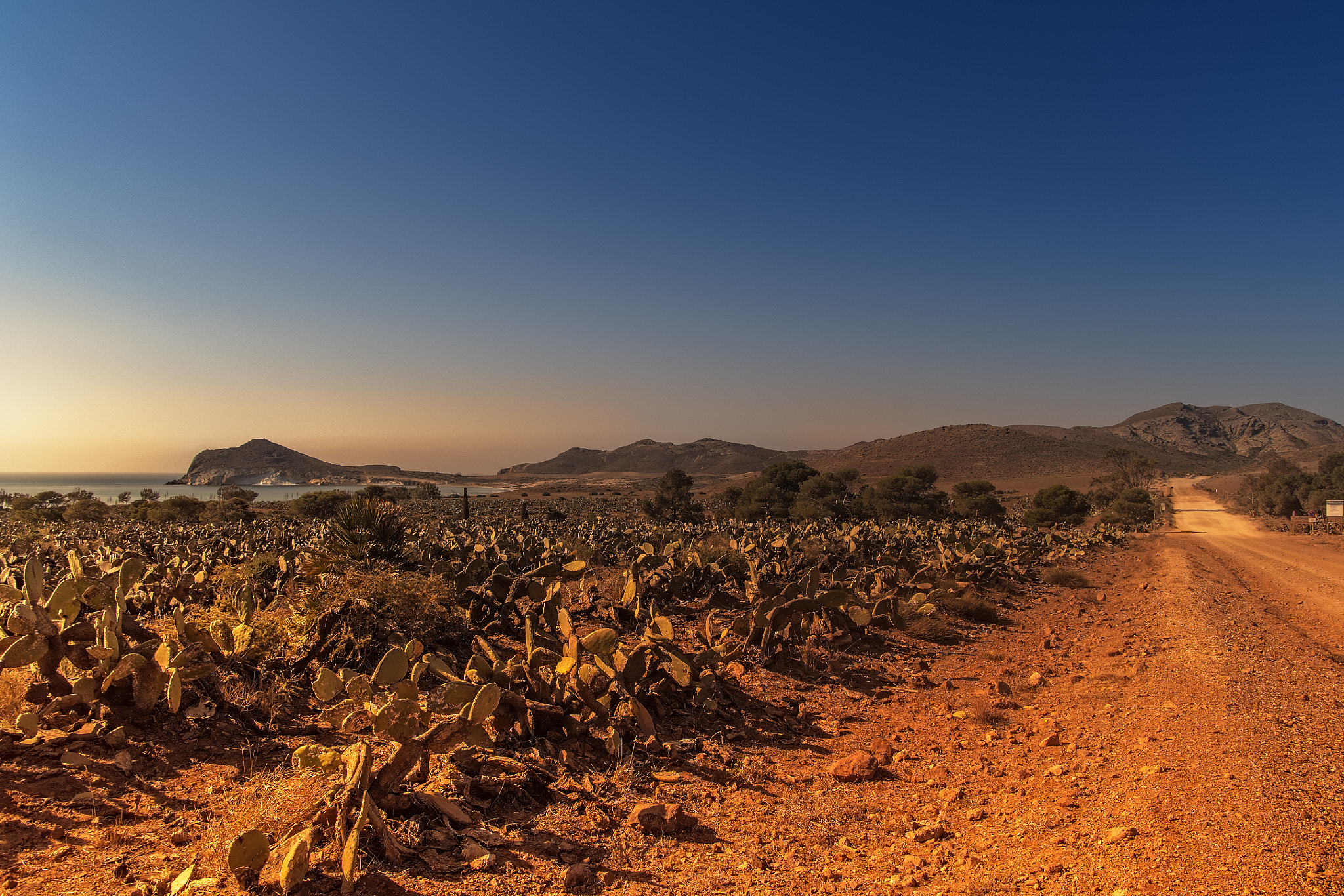 Nikon D500 + Sigma 18-50mm F2.8 EX DC sample photo. Between dust and salt photography