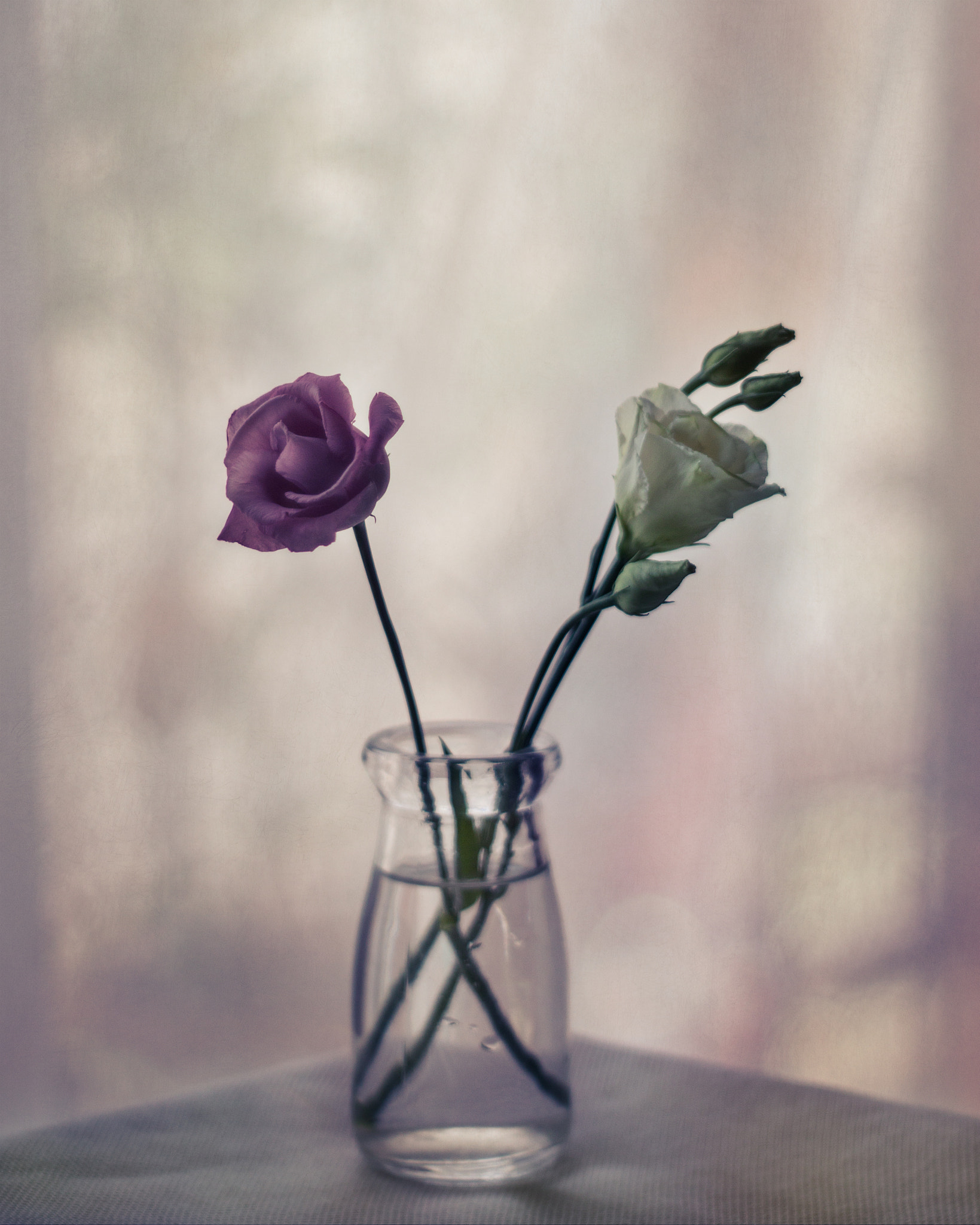 Canon EF 35-80mm f/4-5.6 sample photo. Still i photography
