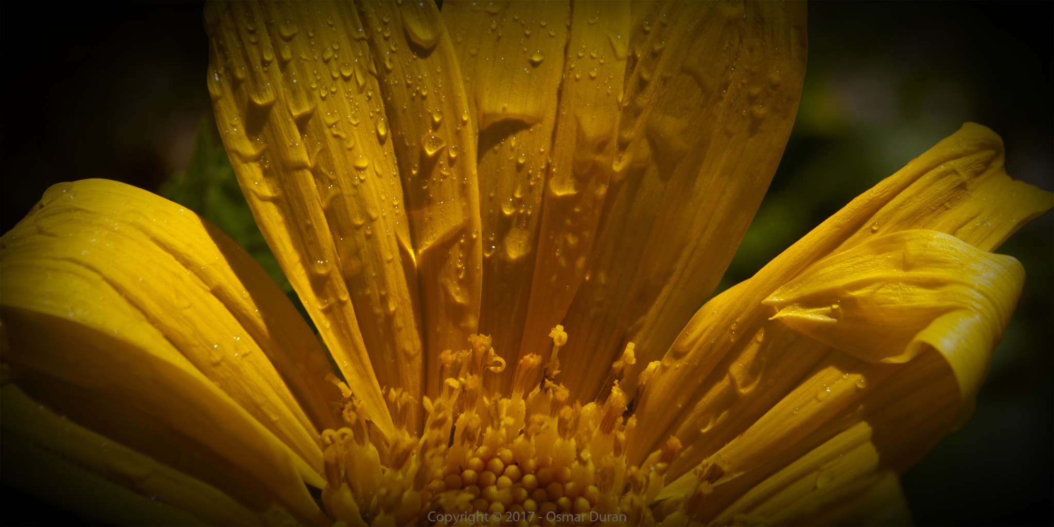 Nikon D200 sample photo. Water damage photography