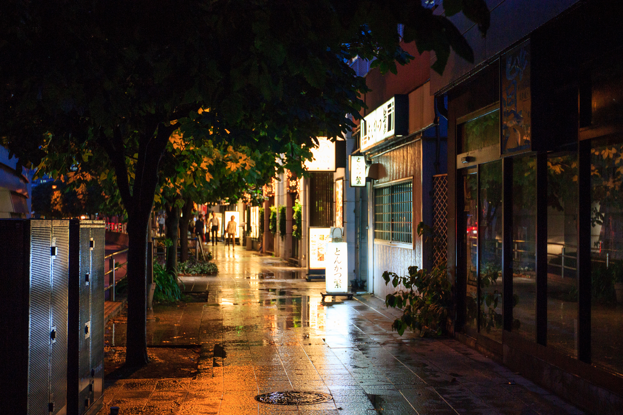Canon EF 16-35mm F2.8L II USM sample photo. Nuit tokyoite photography