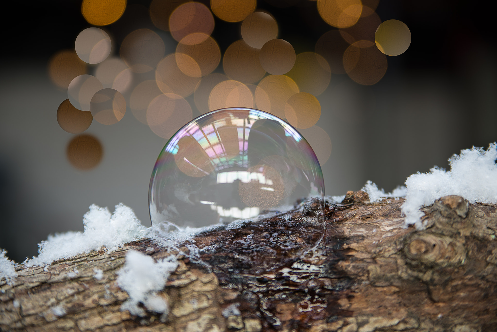 Nikon D600 sample photo. Soap bobble photography