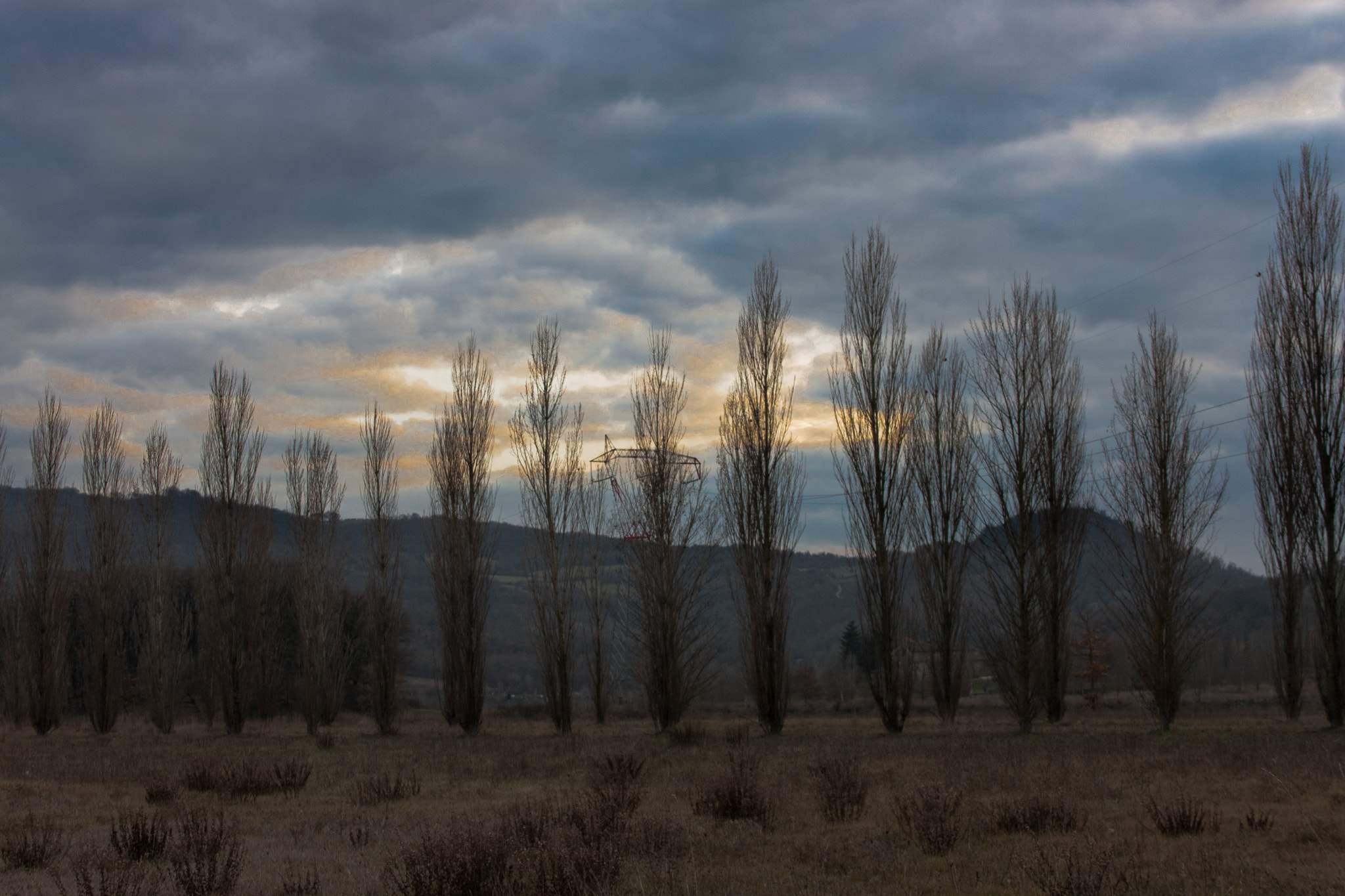 Canon EOS 450D (EOS Rebel XSi / EOS Kiss X2) sample photo. Bilancino alberi photography