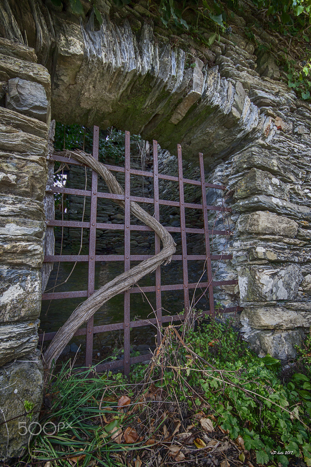 Canon EOS 50D + Sigma 10-20mm F4-5.6 EX DC HSM sample photo. Costa di soglio photography