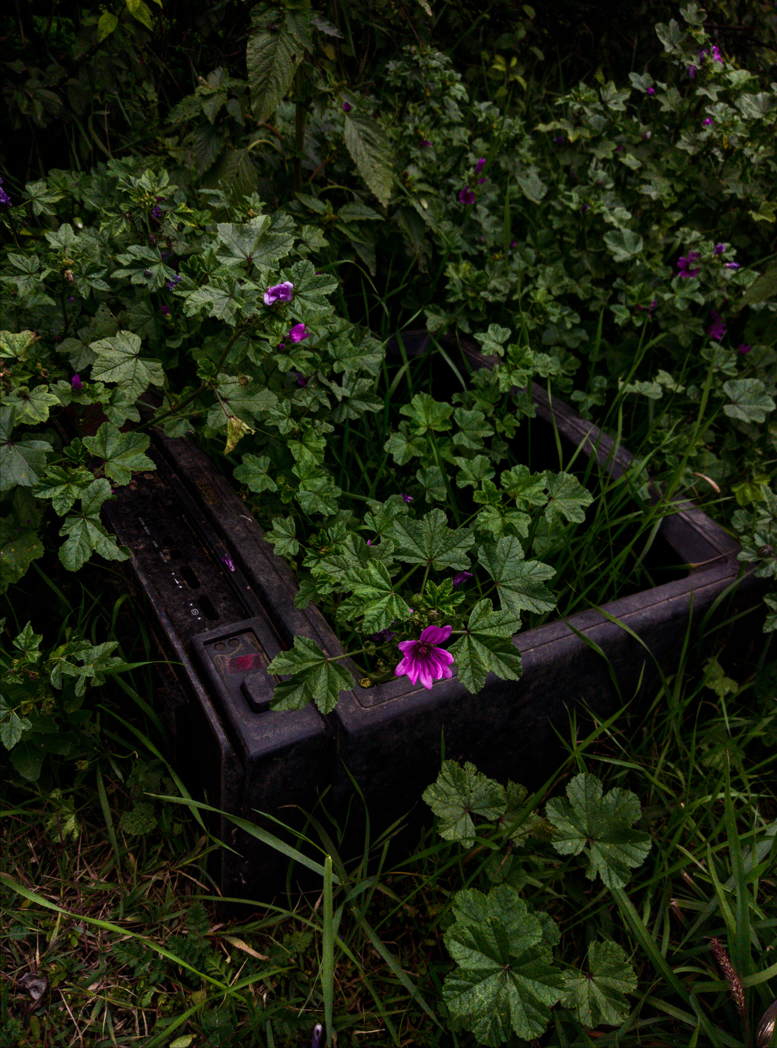 HTC ONE A9 sample photo