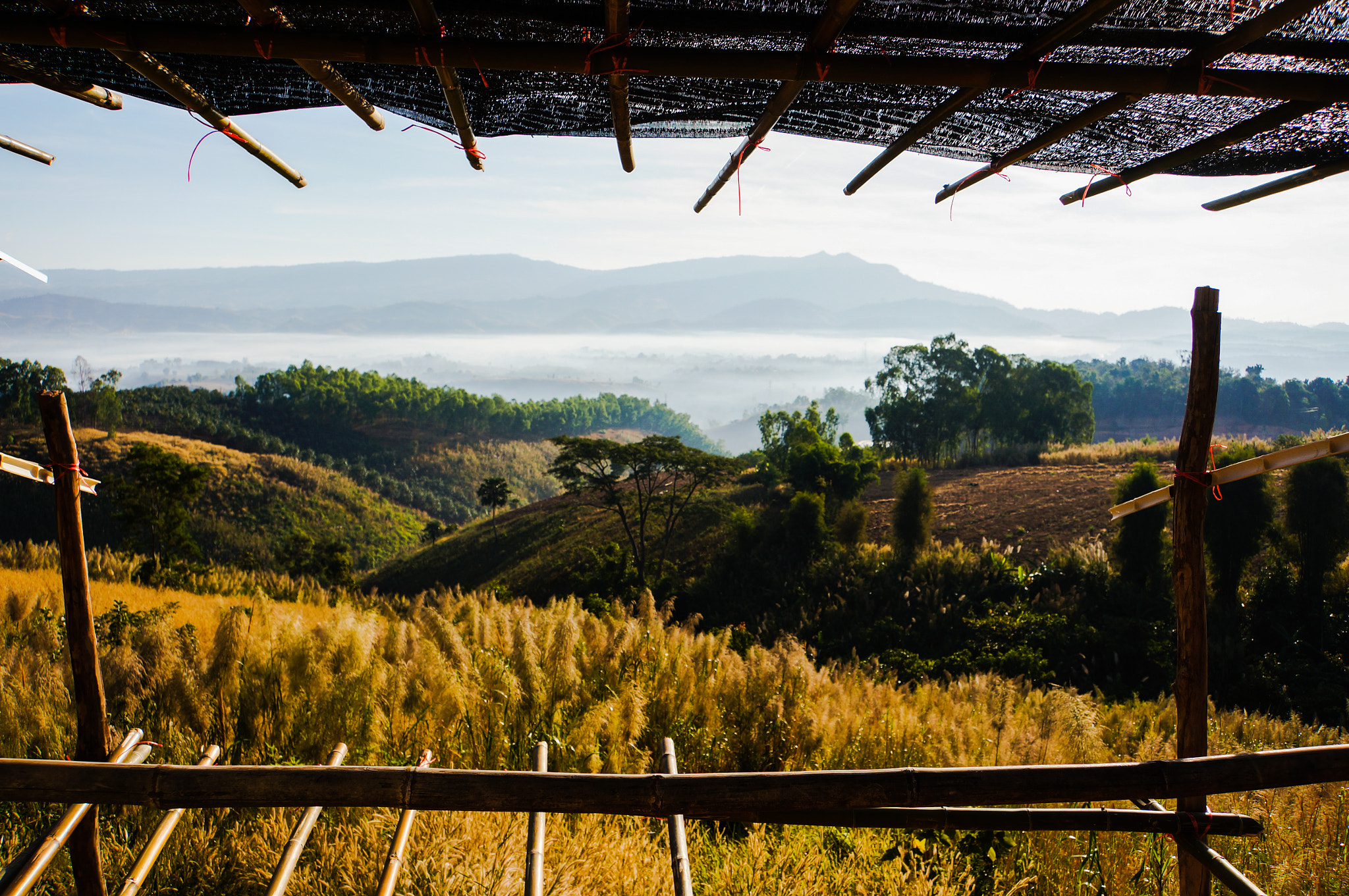 Sony Alpha NEX-5N sample photo. Morning mist photography