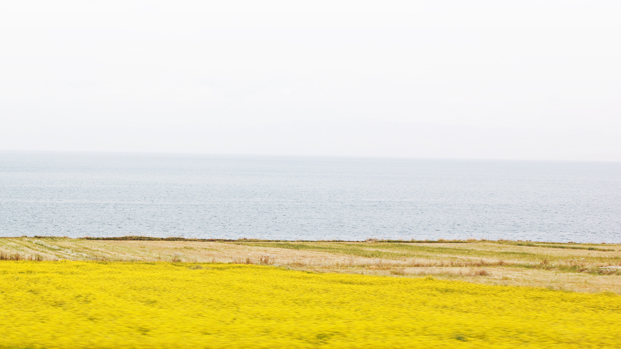 Canon EOS 60D sample photo