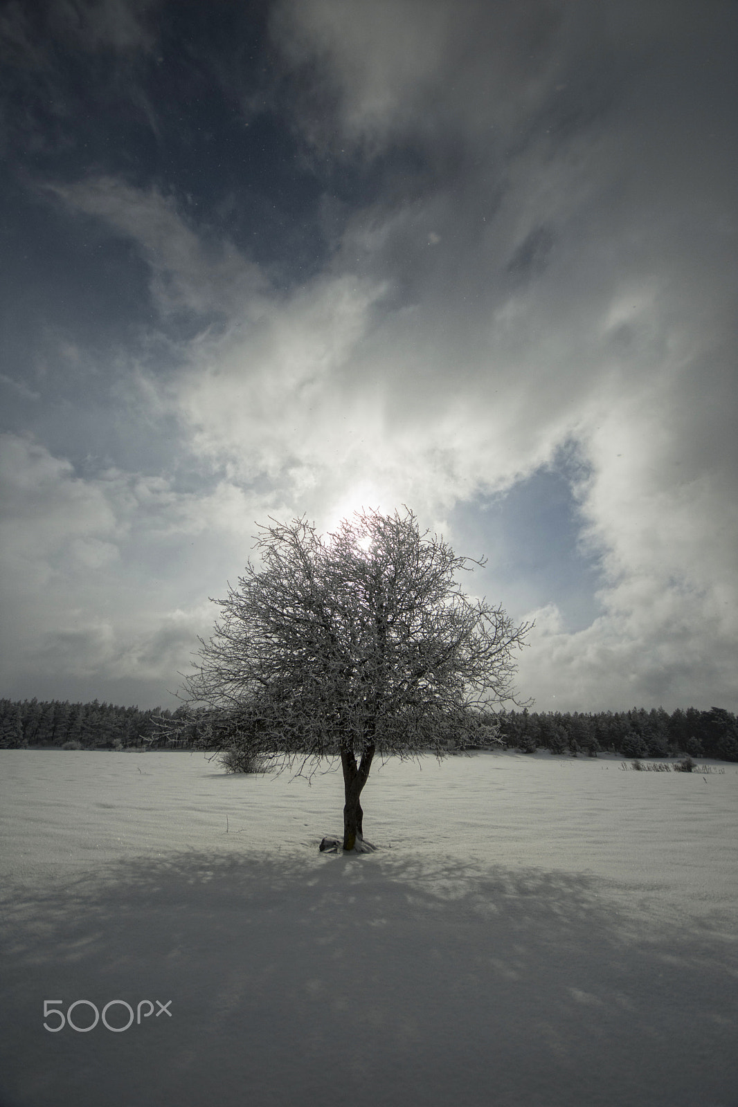 Nikon D7200 sample photo. Snow photography