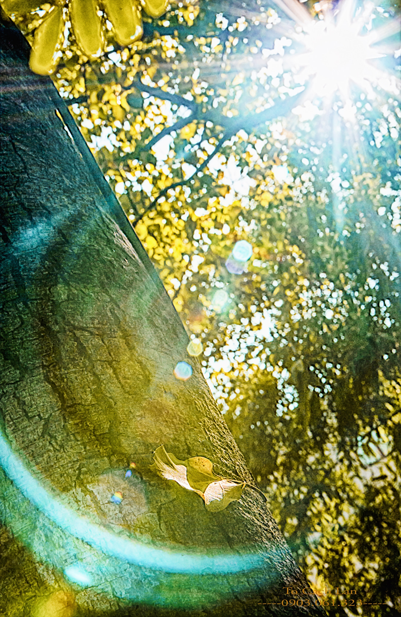 Nikon D1X sample photo. Dsc photography