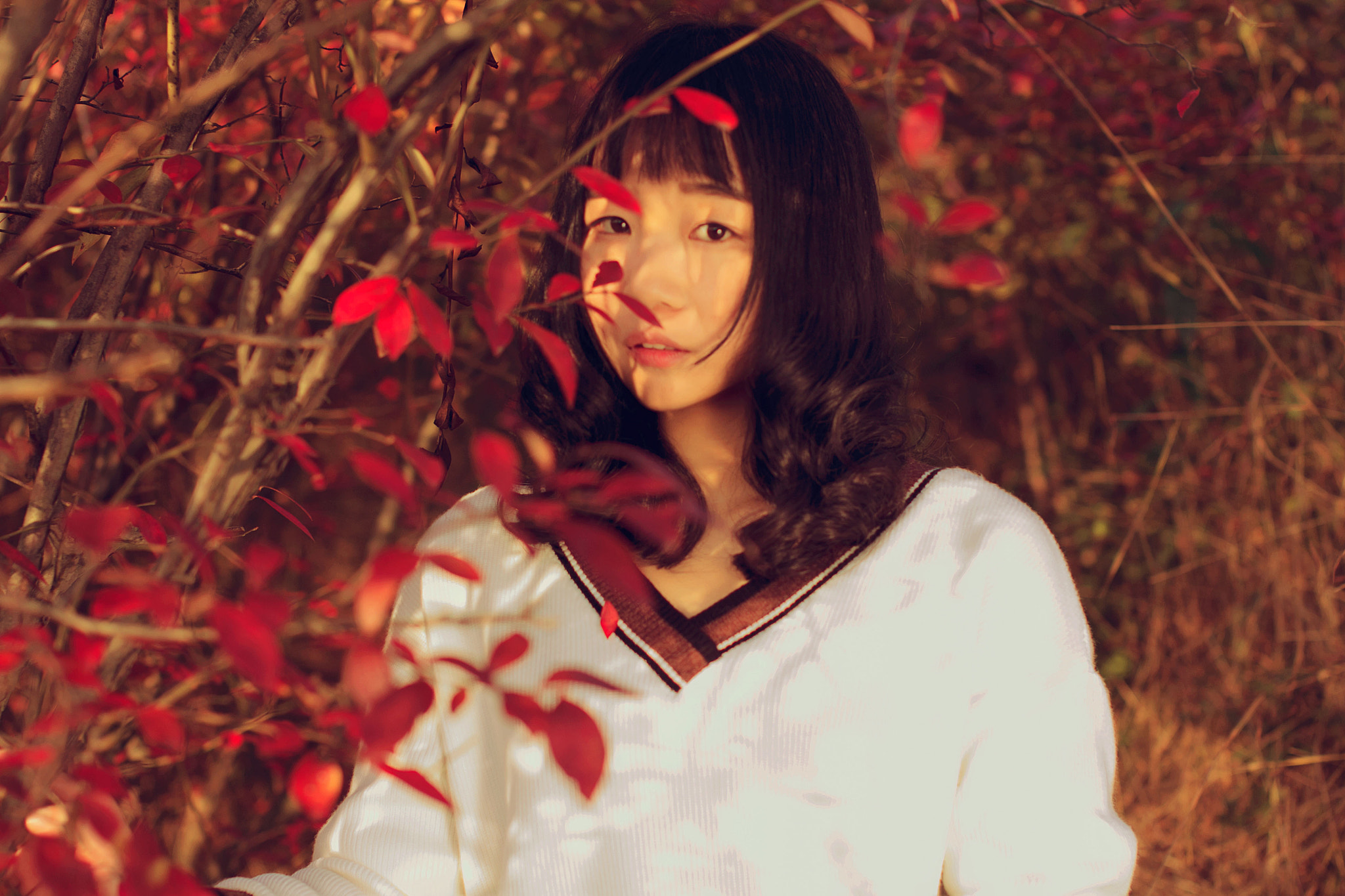 Sigma 50mm F1.4 EX DG HSM sample photo. Lili photography
