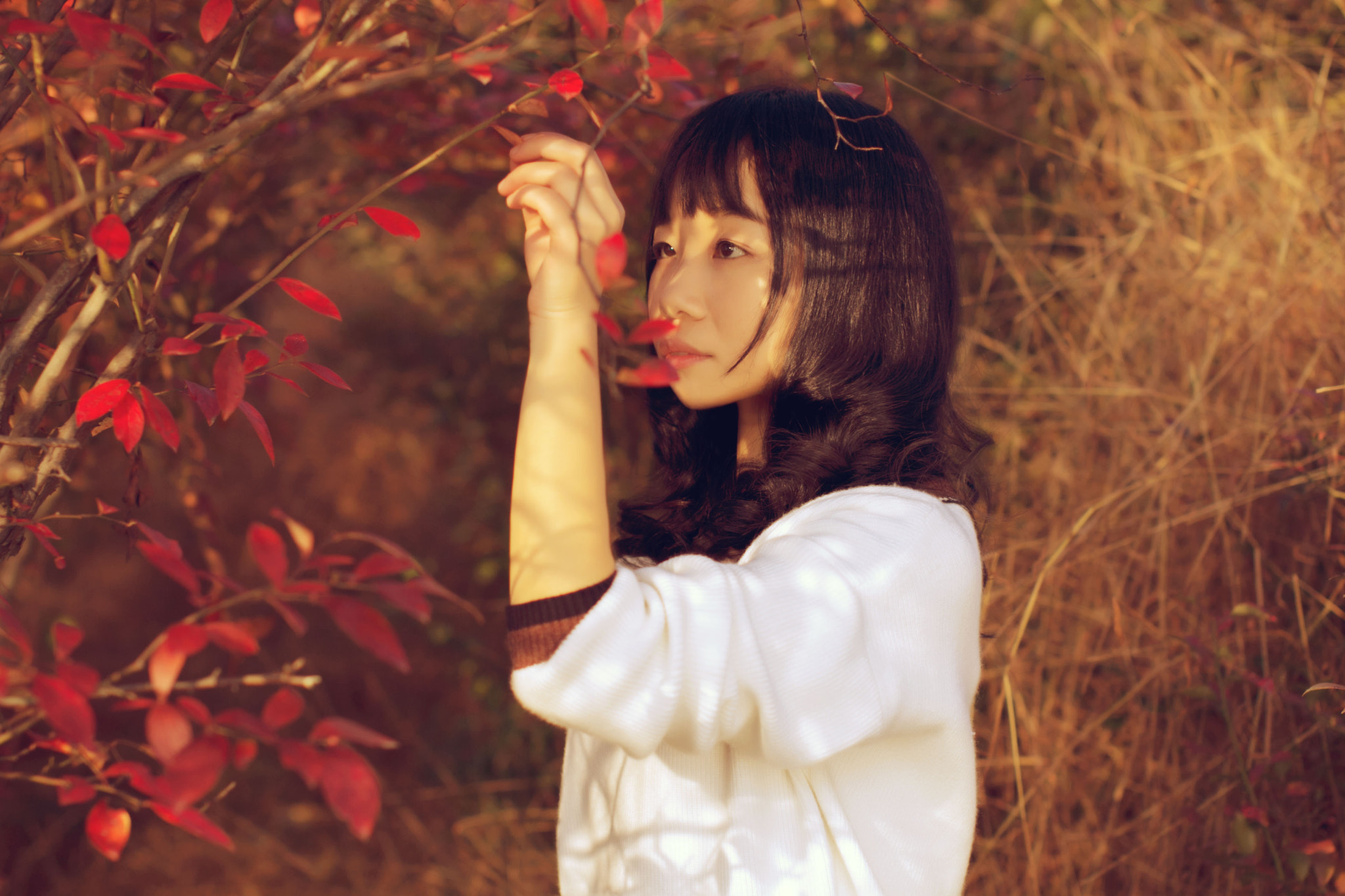 Sigma 50mm F1.4 EX DG HSM sample photo. Lili photography