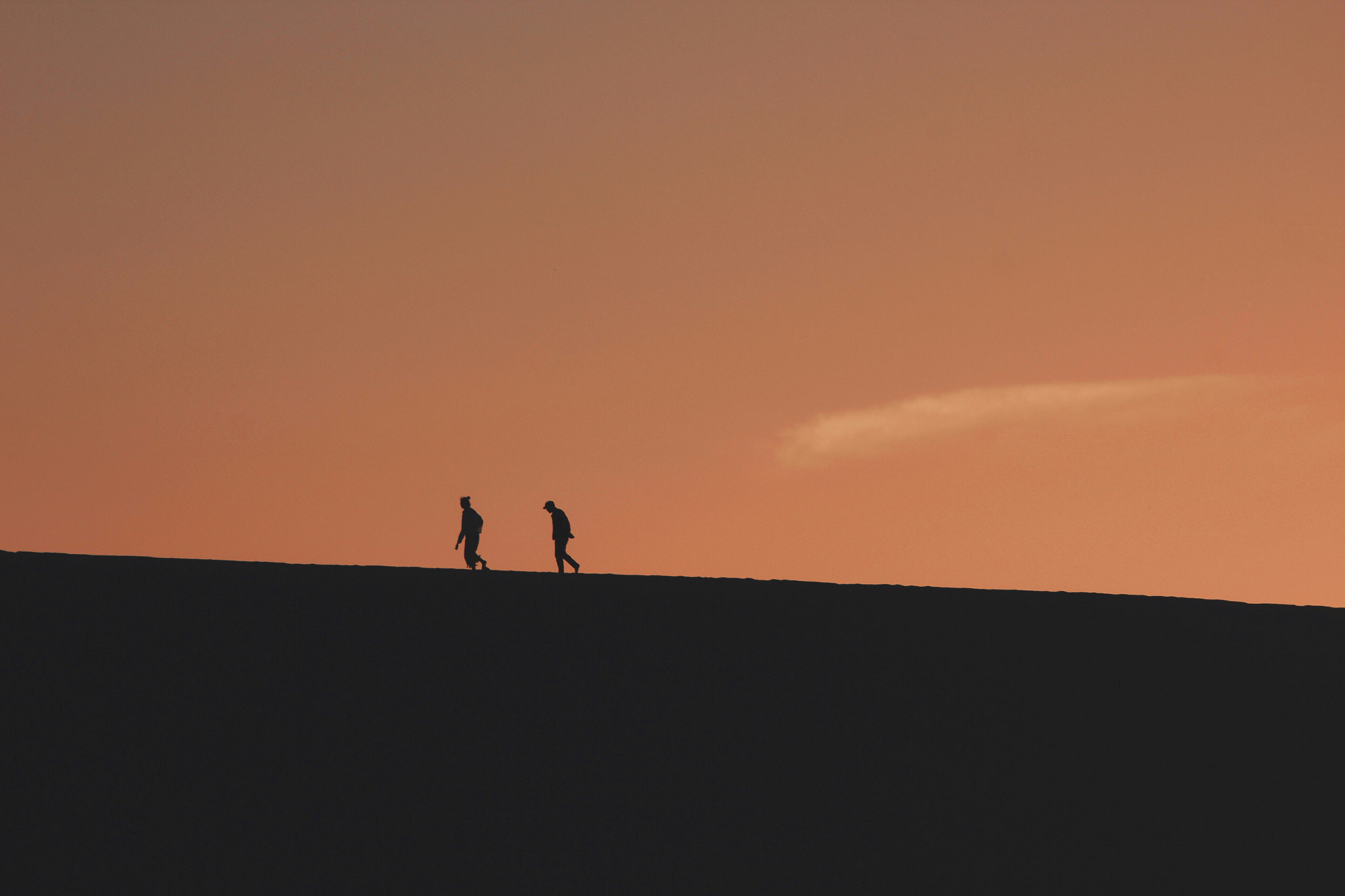 Canon EOS 60D + Canon 70-300mm sample photo