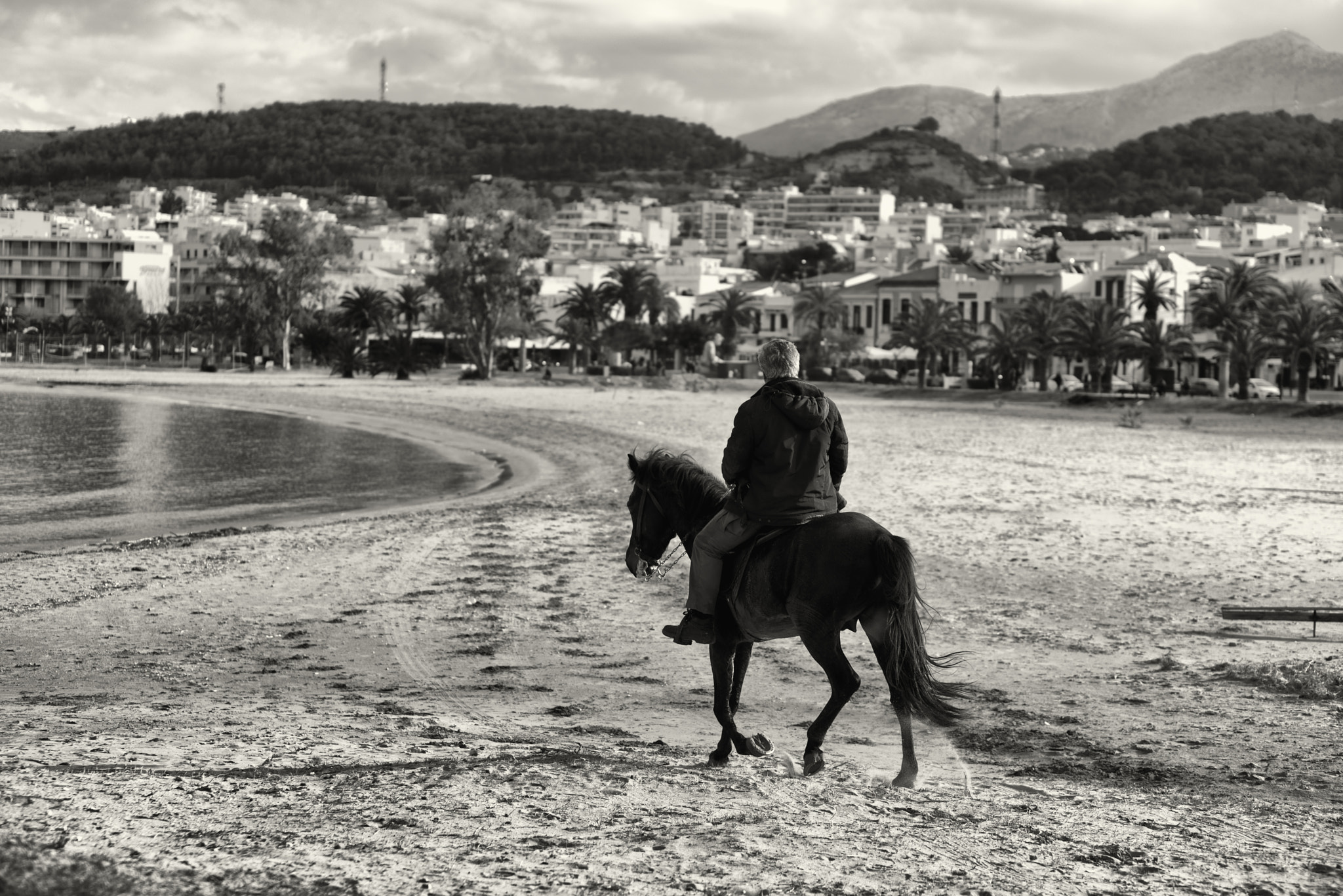 Nikon D610 sample photo. A man and his horse photography