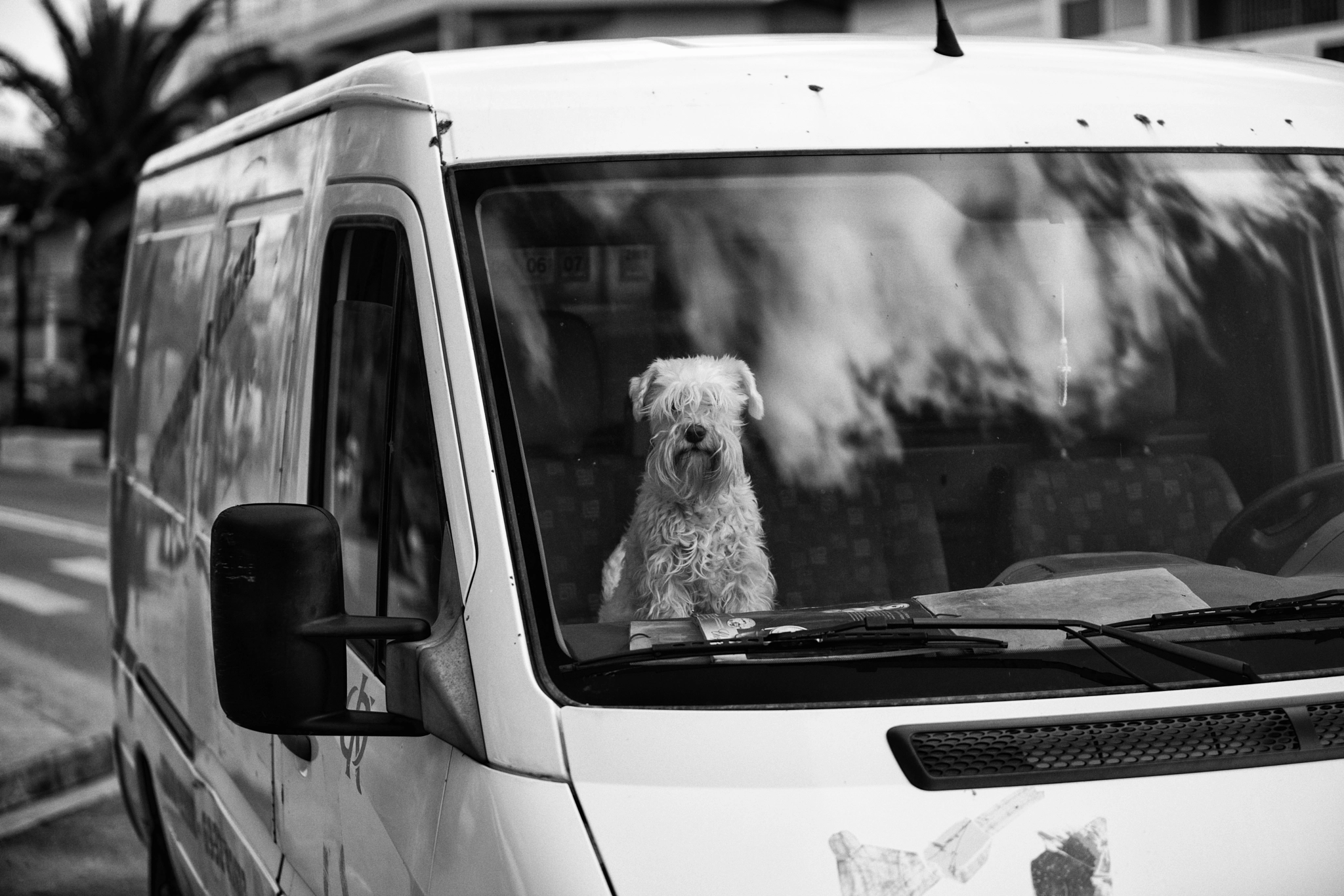 Nikon D610 + Tamron SP AF 70-200mm F2.8 Di LD (IF) MACRO sample photo. Cute dog left alone in the van. photography
