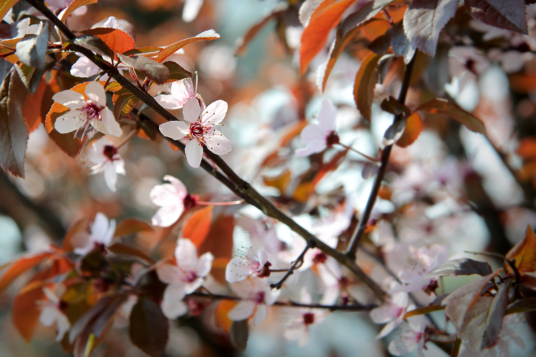 Nikon AF Nikkor 24-85mm F2.8-4D IF sample photo. Слой photography