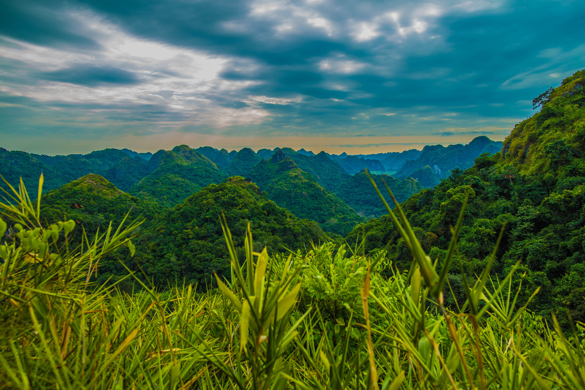Canon EF 24mm F1.4L II USM sample photo. Welcome to jurassic park photography