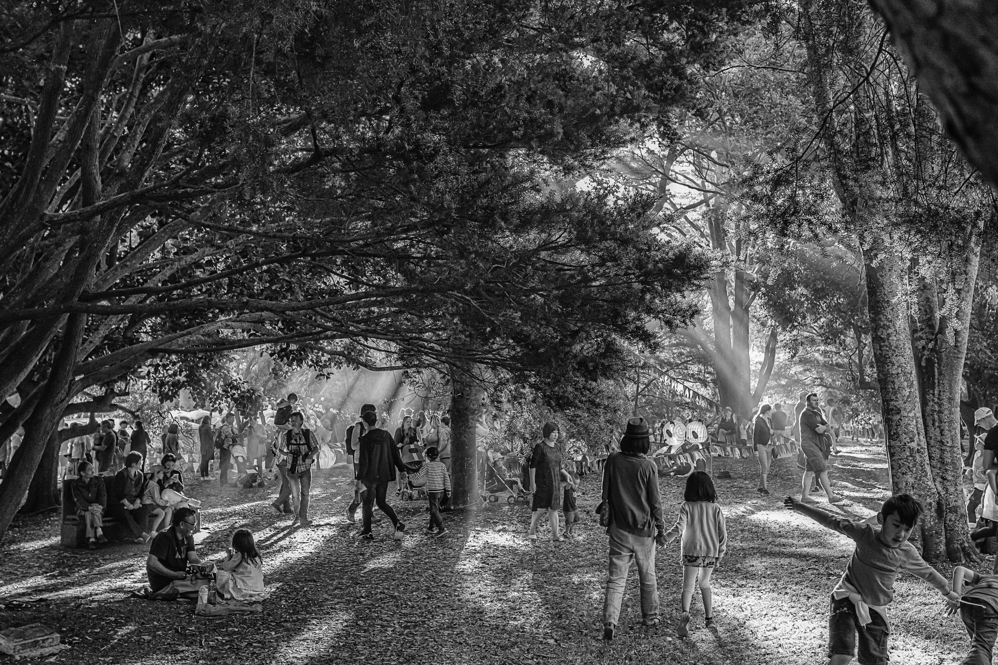 Canon EOS-1Ds Mark III sample photo. Festival photography