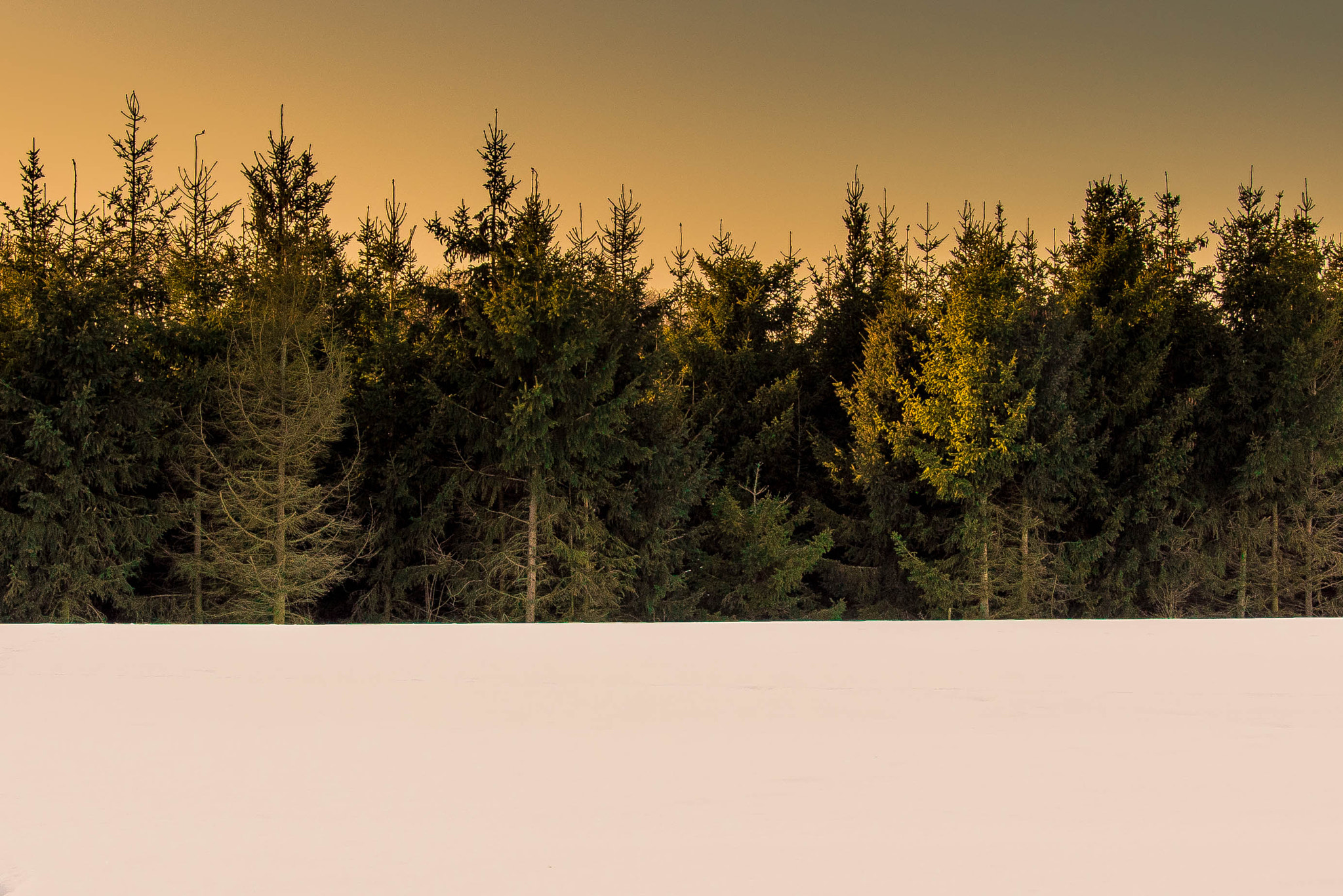 Sony a7S sample photo. Symmetry photography