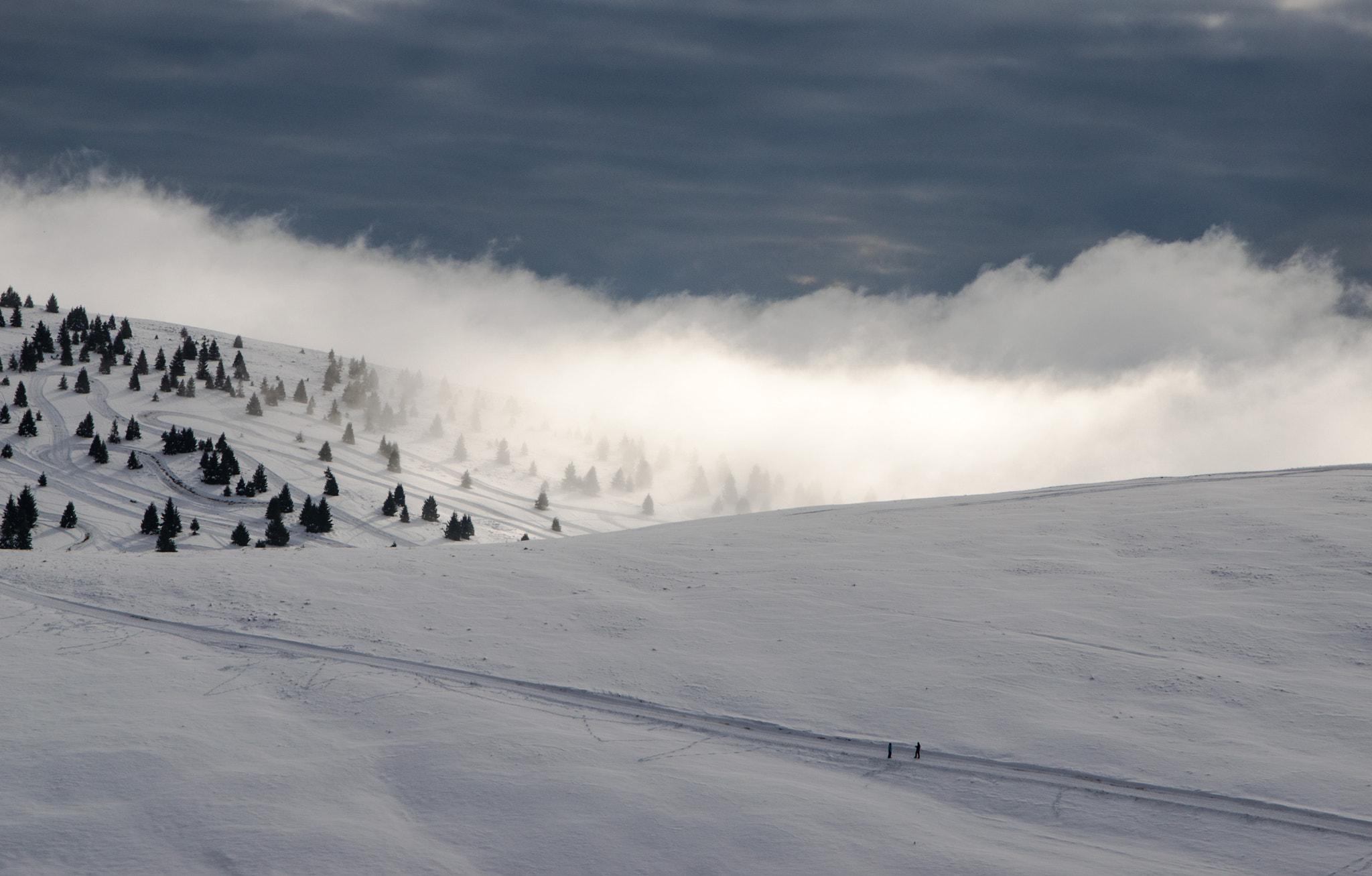 Nikon D5100 + Sigma 17-70mm F2.8-4 DC Macro OS HSM sample photo. Fog arriving photography