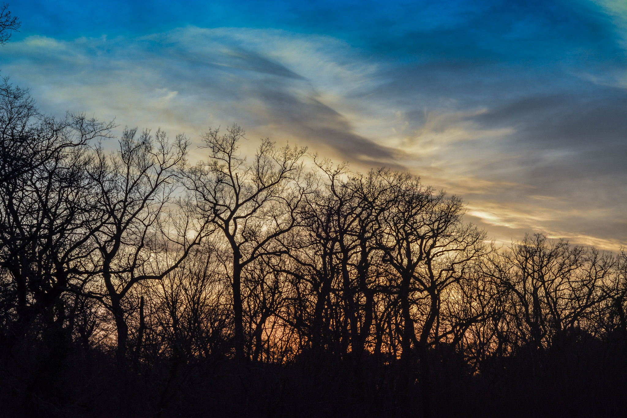 Nikon D5200 + Nikon AF Nikkor 50mm F1.8D sample photo. Sky & forest photography