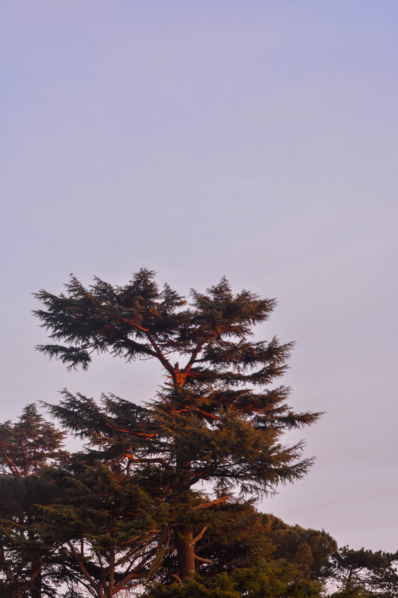 Nikon D5200 + Nikon AF Nikkor 50mm F1.8D sample photo. Sunset photography