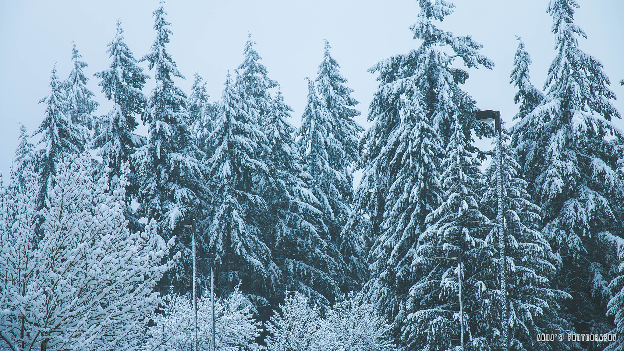 Sigma 17-70mm F2.8-4 DC Macro OS HSM sample photo. Winter landscape photography