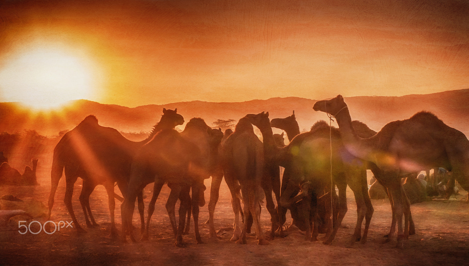 Panasonic Lumix G X Vario 35-100mm F2.8 OIS sample photo. Desert morning photography