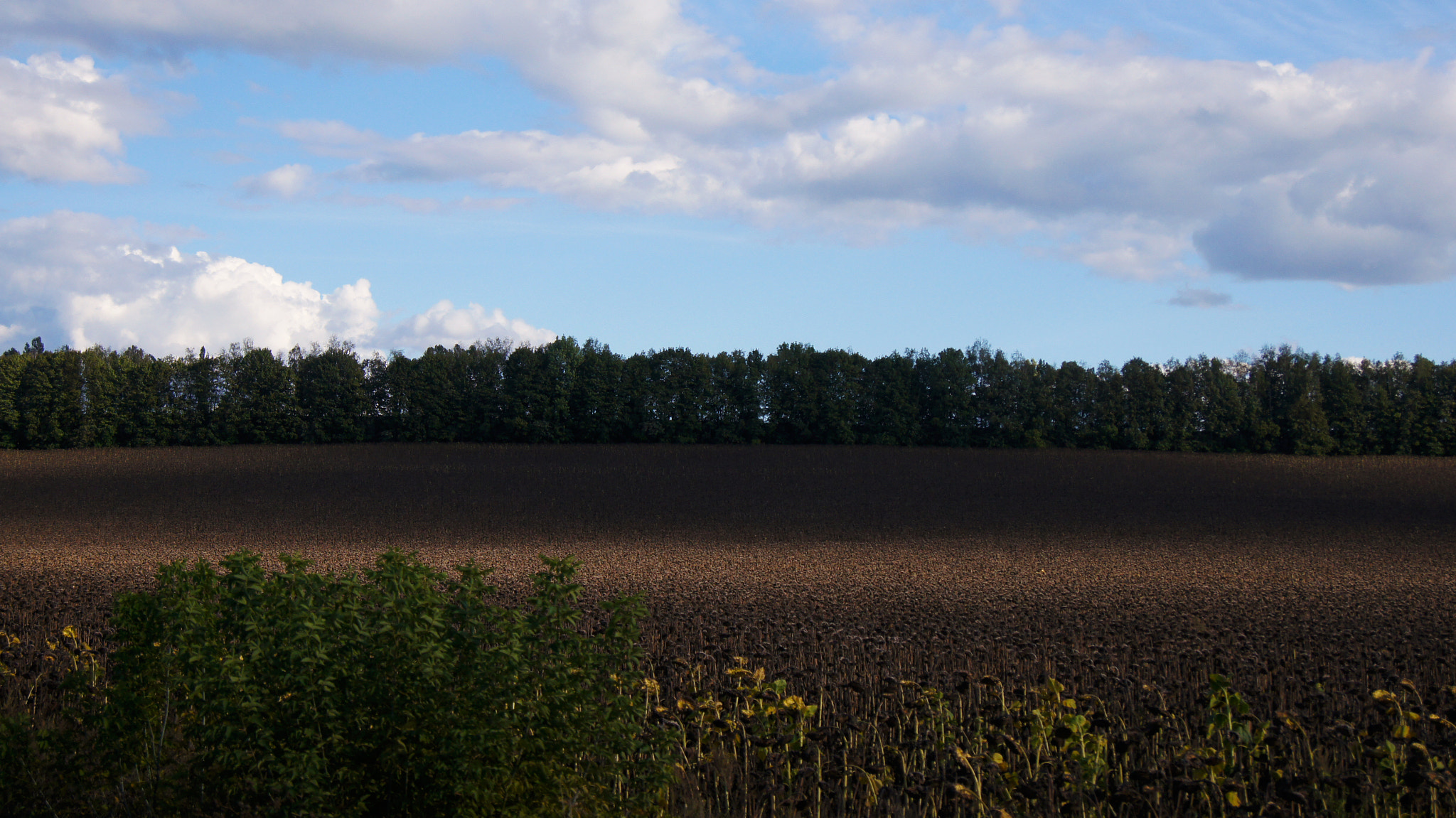 Sony SLT-A55 (SLT-A55V) sample photo. Ukrainian landscape photography