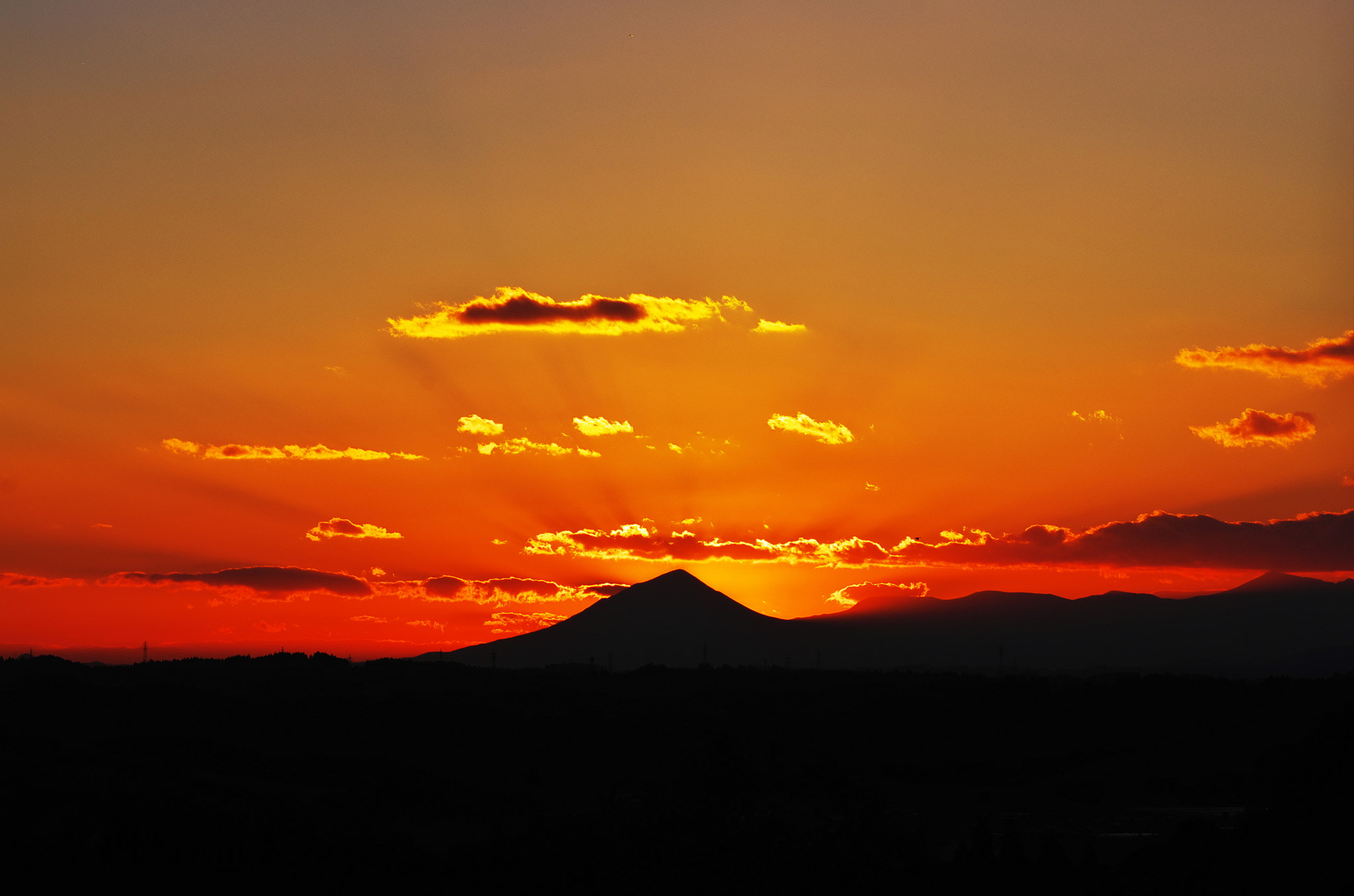 Pentax K-5 sample photo. The scenery i saw with my dog... photography