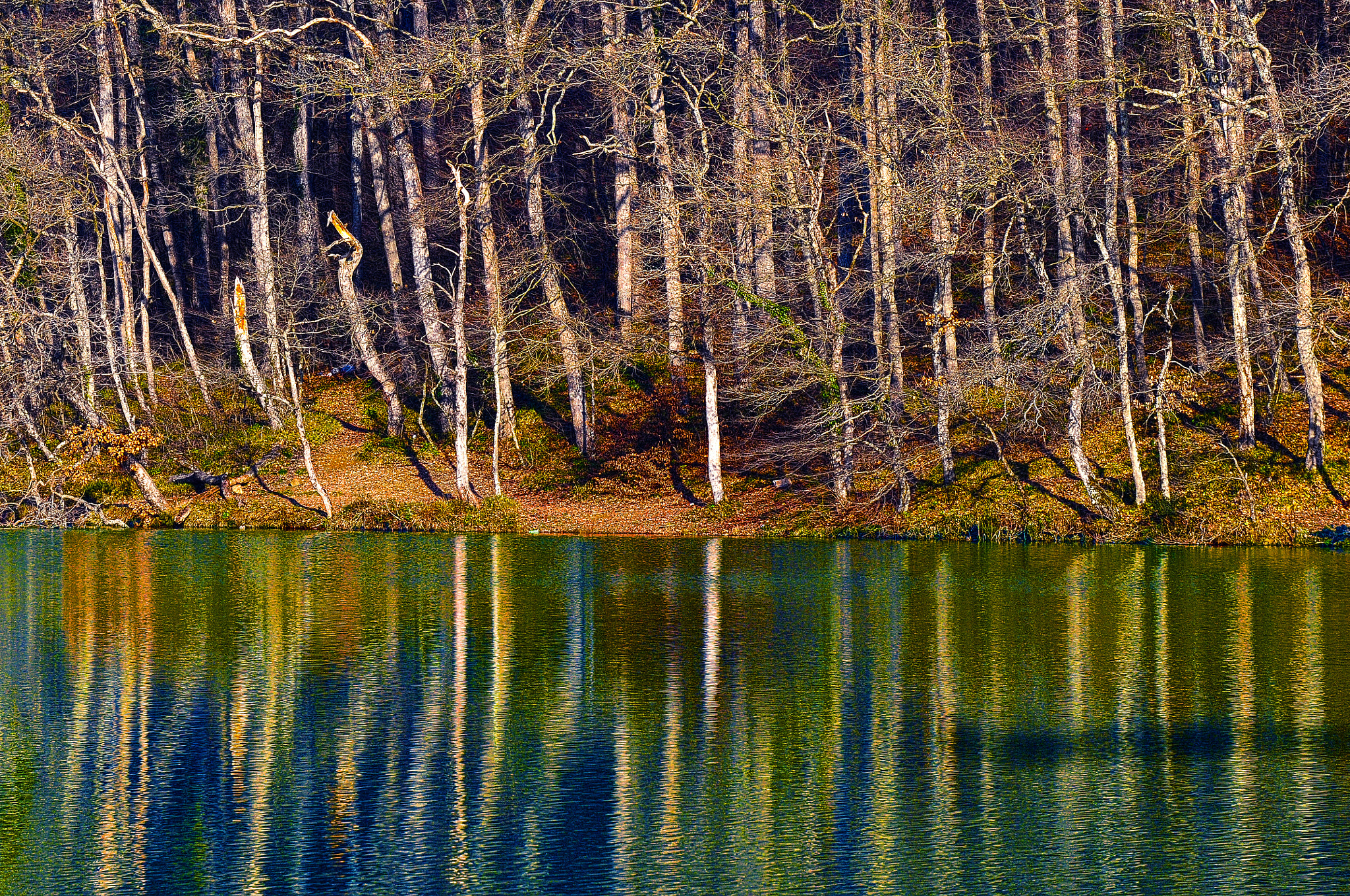 Nikon D300 sample photo. Reflection photography