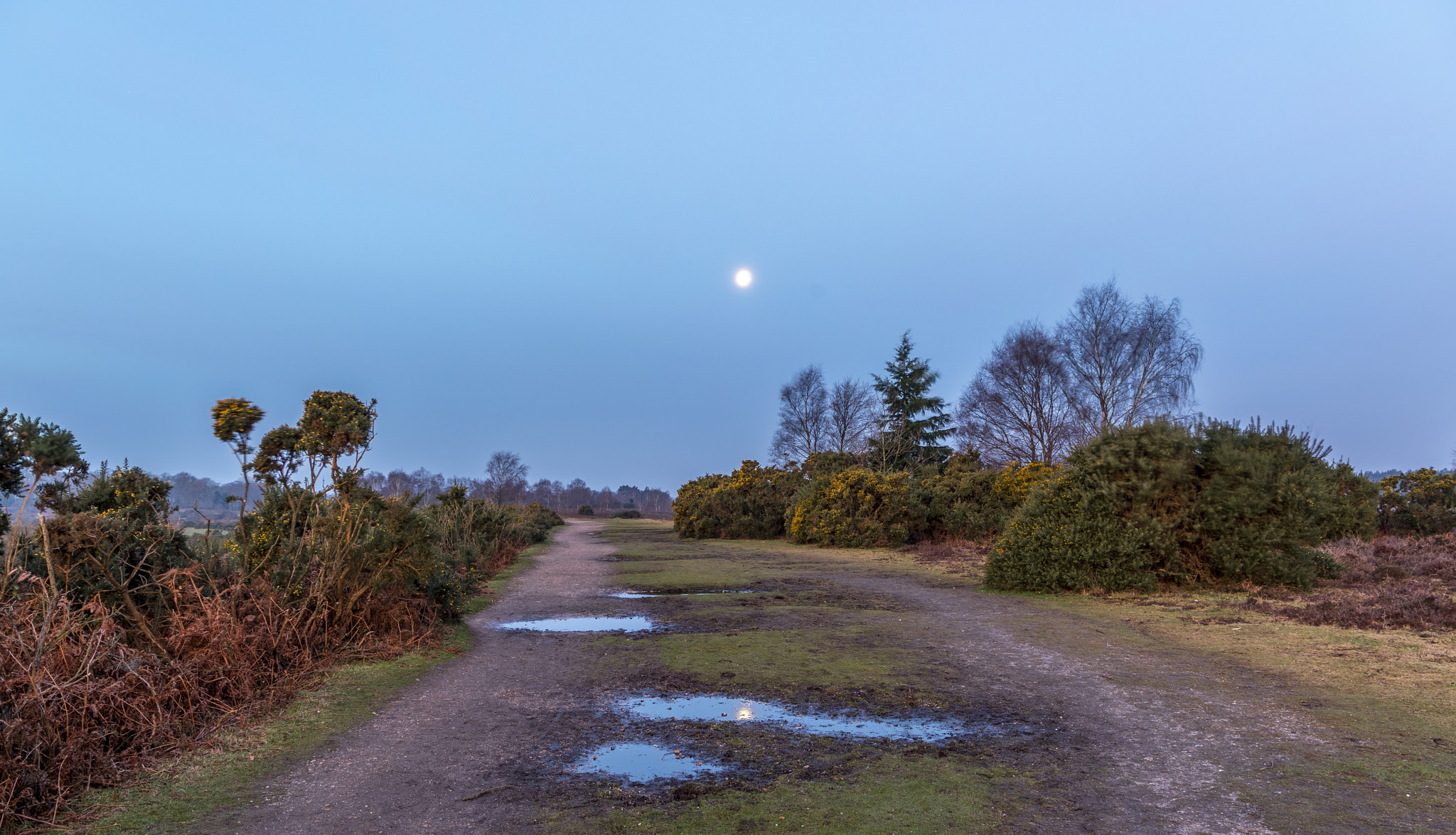 Canon EF 24-105mm F3.5-5.6 IS STM sample photo. Puddle moon photography