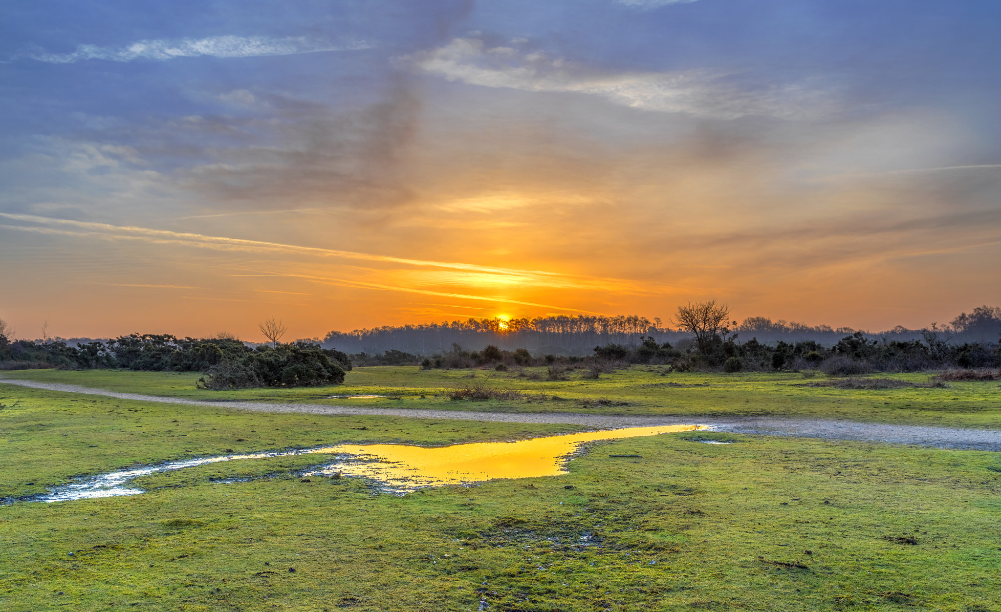 Canon EF 24-105mm F3.5-5.6 IS STM sample photo. Golden puddle photography
