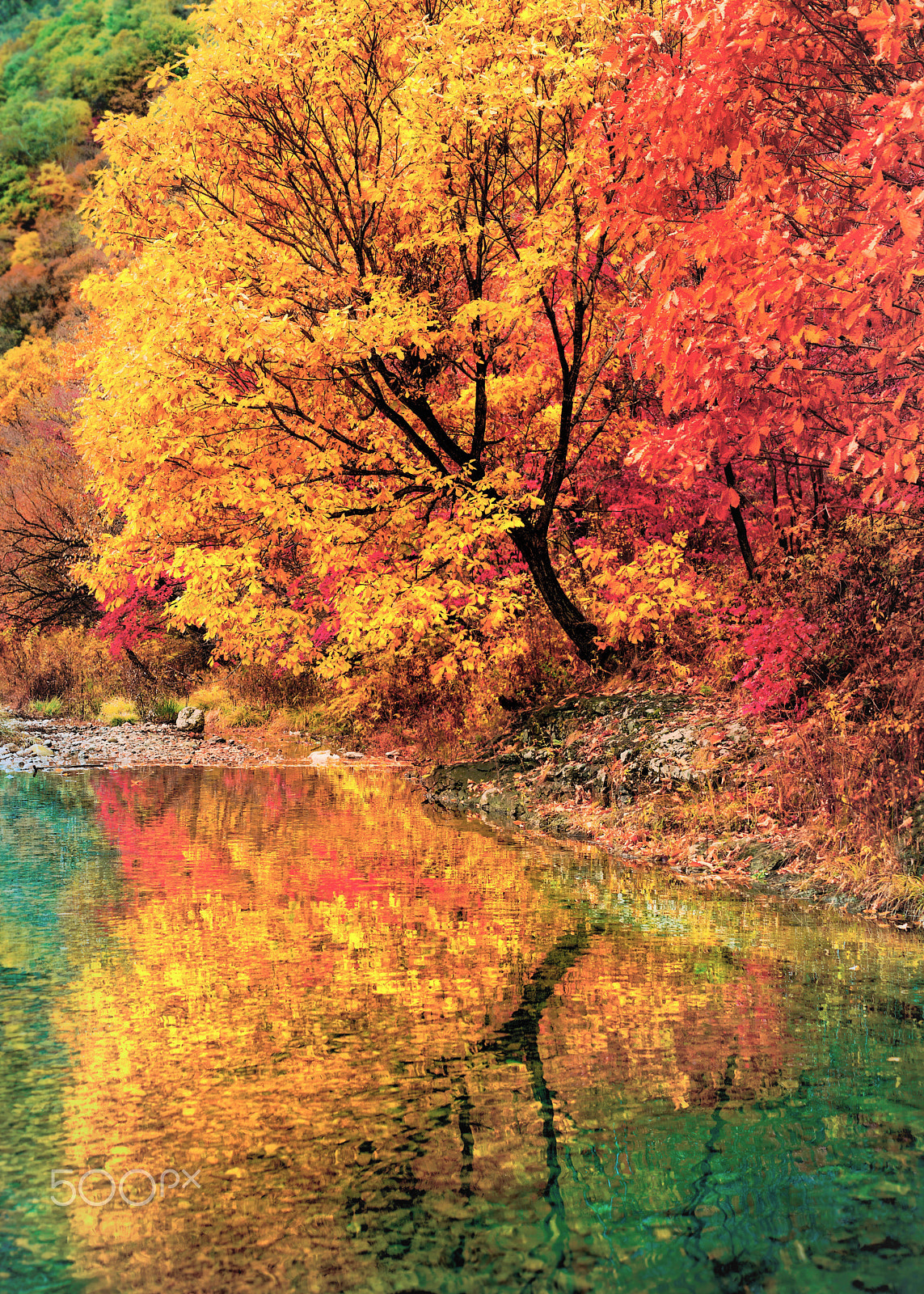 Nikon D800 + Sigma 50mm F1.4 DG HSM Art sample photo. Autumn in china north east photography