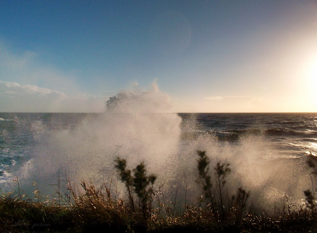 Samsung ST30 sample photo. 2015 - vendée photography