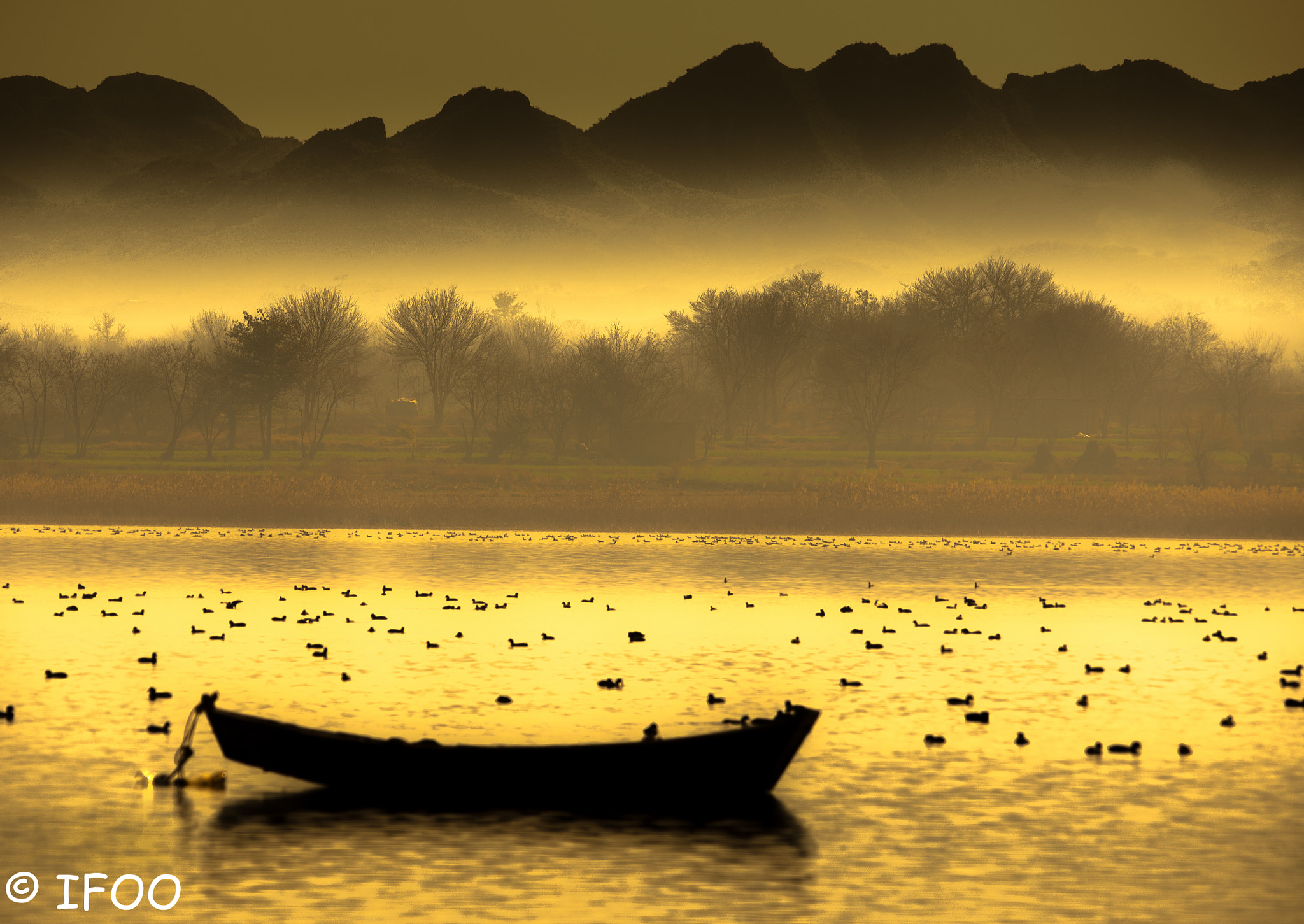 Sigma 150-500mm F5-6.3 DG OS HSM sample photo. Uchali lake  photography