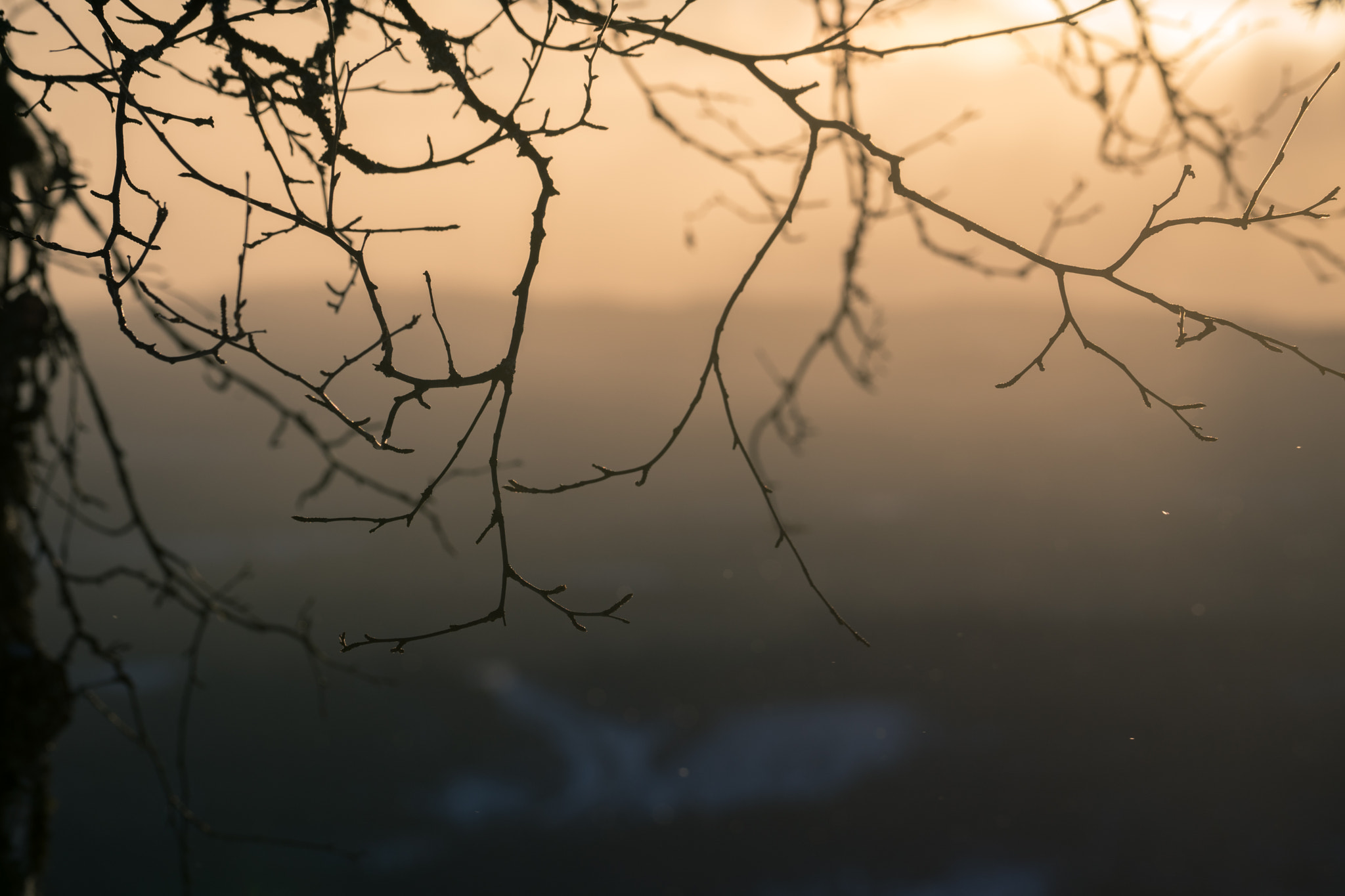 Sony a7 + Sony FE 70-200mm F4 G OSS sample photo. Trillevallen - sweden photography