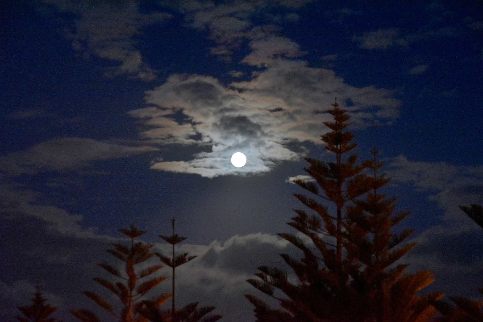Sigma 70-300mm F4-5.6 APO DG Macro sample photo. Moon,gardens,sea, photography