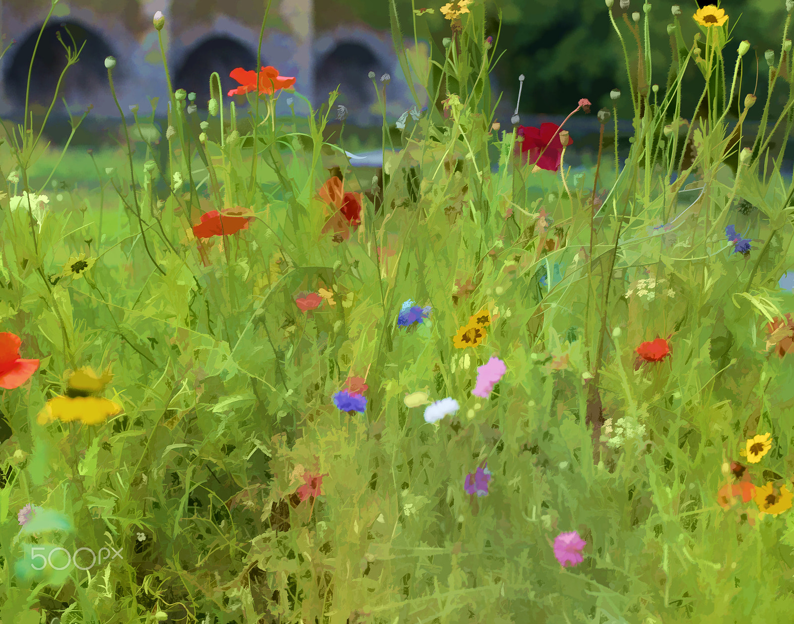 Sigma 105mm F2.8 EX DG OS HSM sample photo. Flowers photography