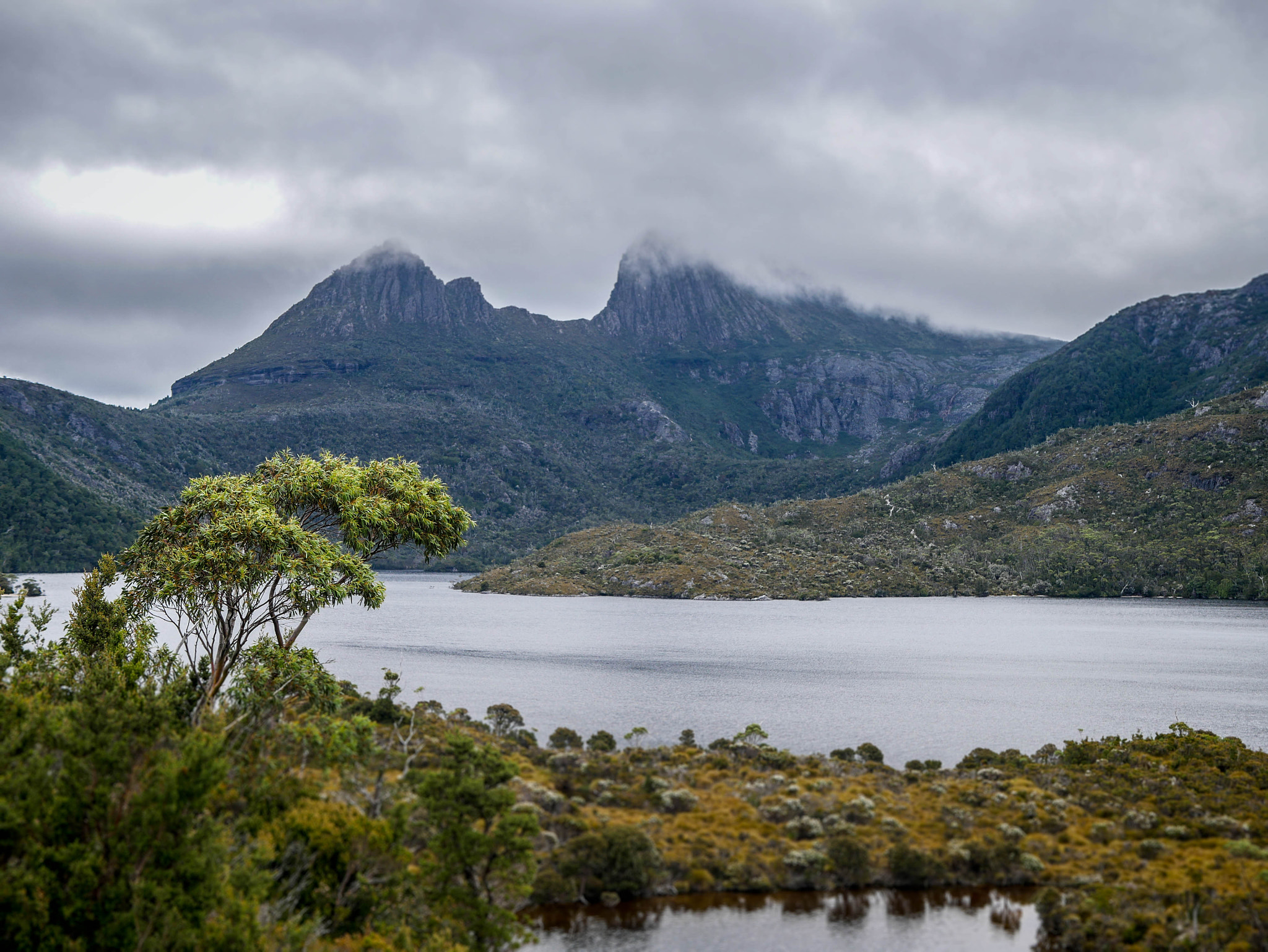 LUMIX G 25/F1.7 sample photo. Cloudy cradle mountain photography