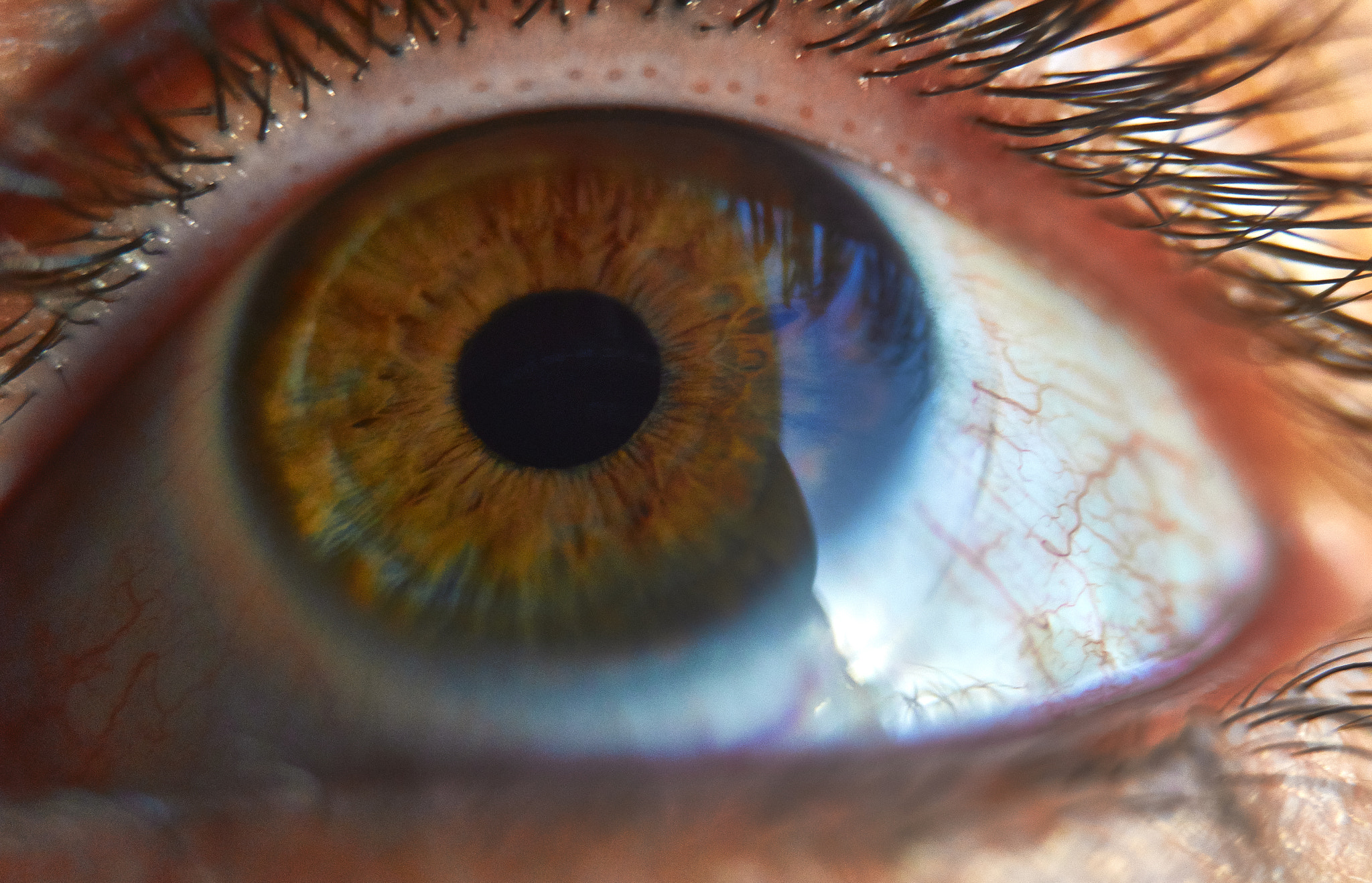 Sony Alpha NEX-3N sample photo. Eye photography