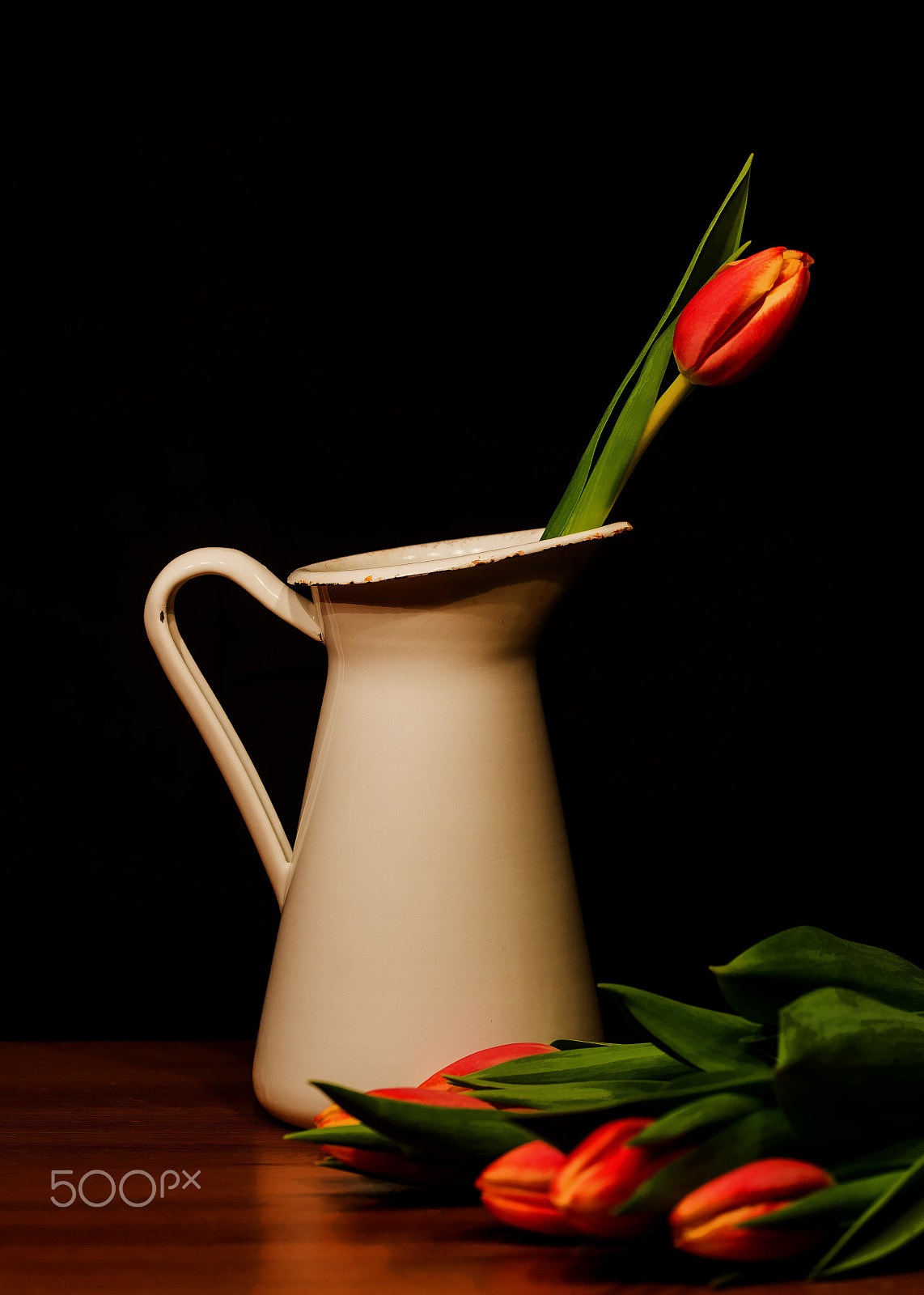 Sigma 105mm F2.8 EX DG OS HSM sample photo. Single photography
