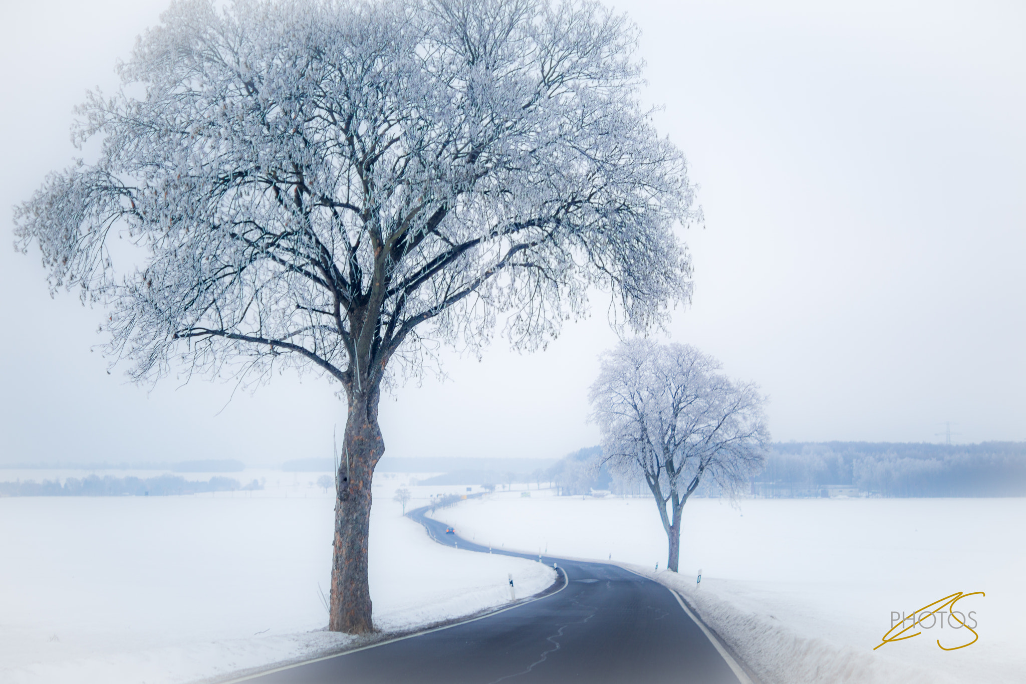 Sony a6000 + Sony DT 35mm F1.8 SAM sample photo. Black street, white landscape photography