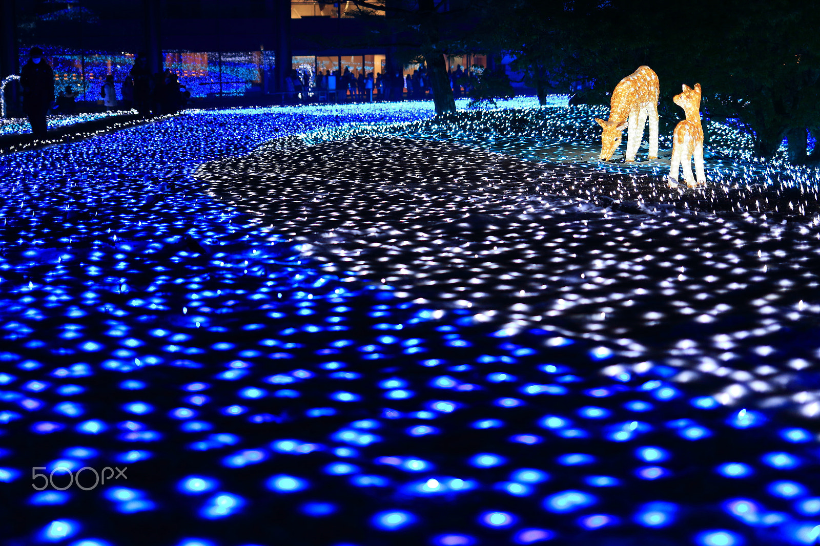 Canon EF 35mm F2 IS USM sample photo. Deer in lights photography