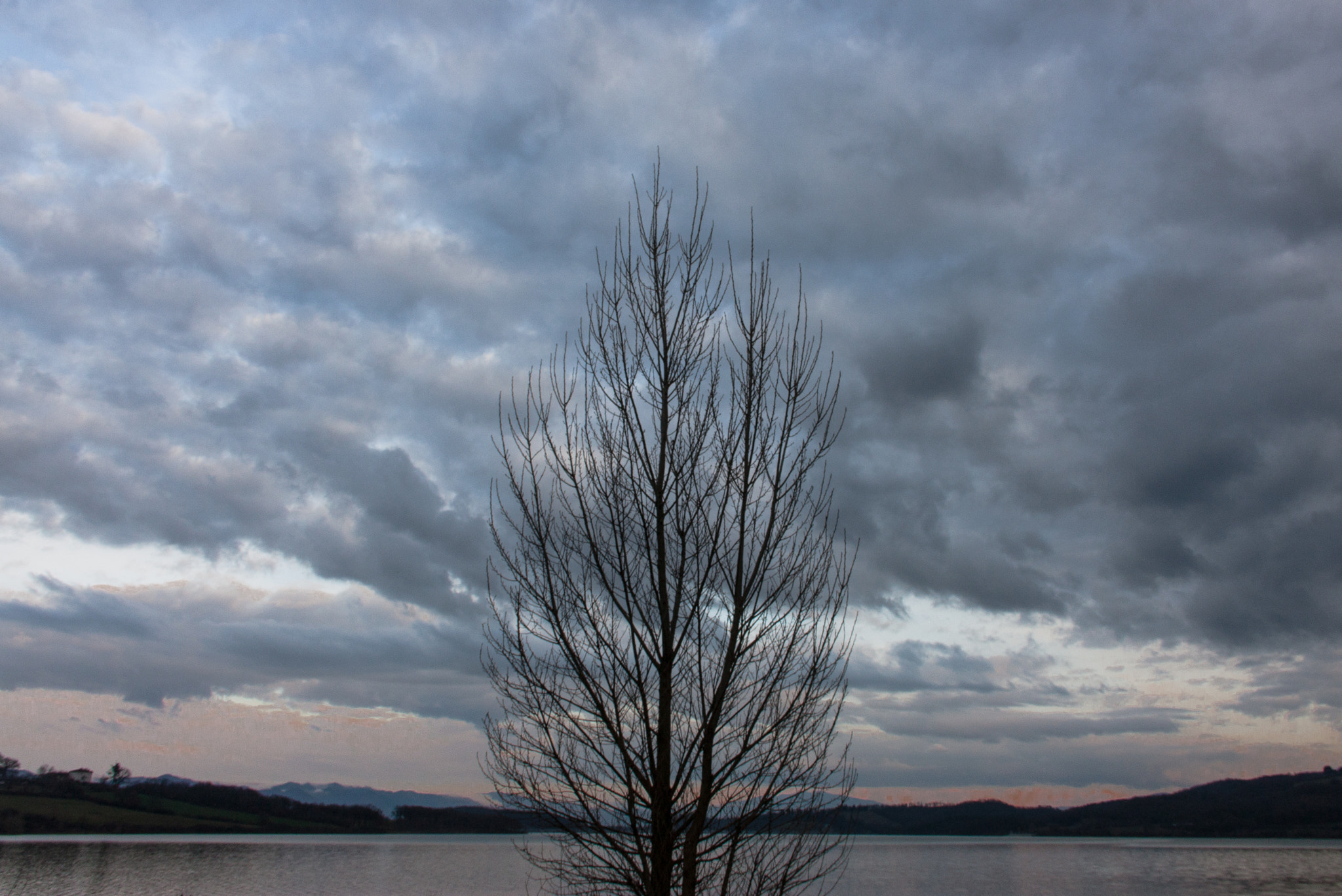 Canon EOS 450D (EOS Rebel XSi / EOS Kiss X2) sample photo. Bilancino albero tramonto photography