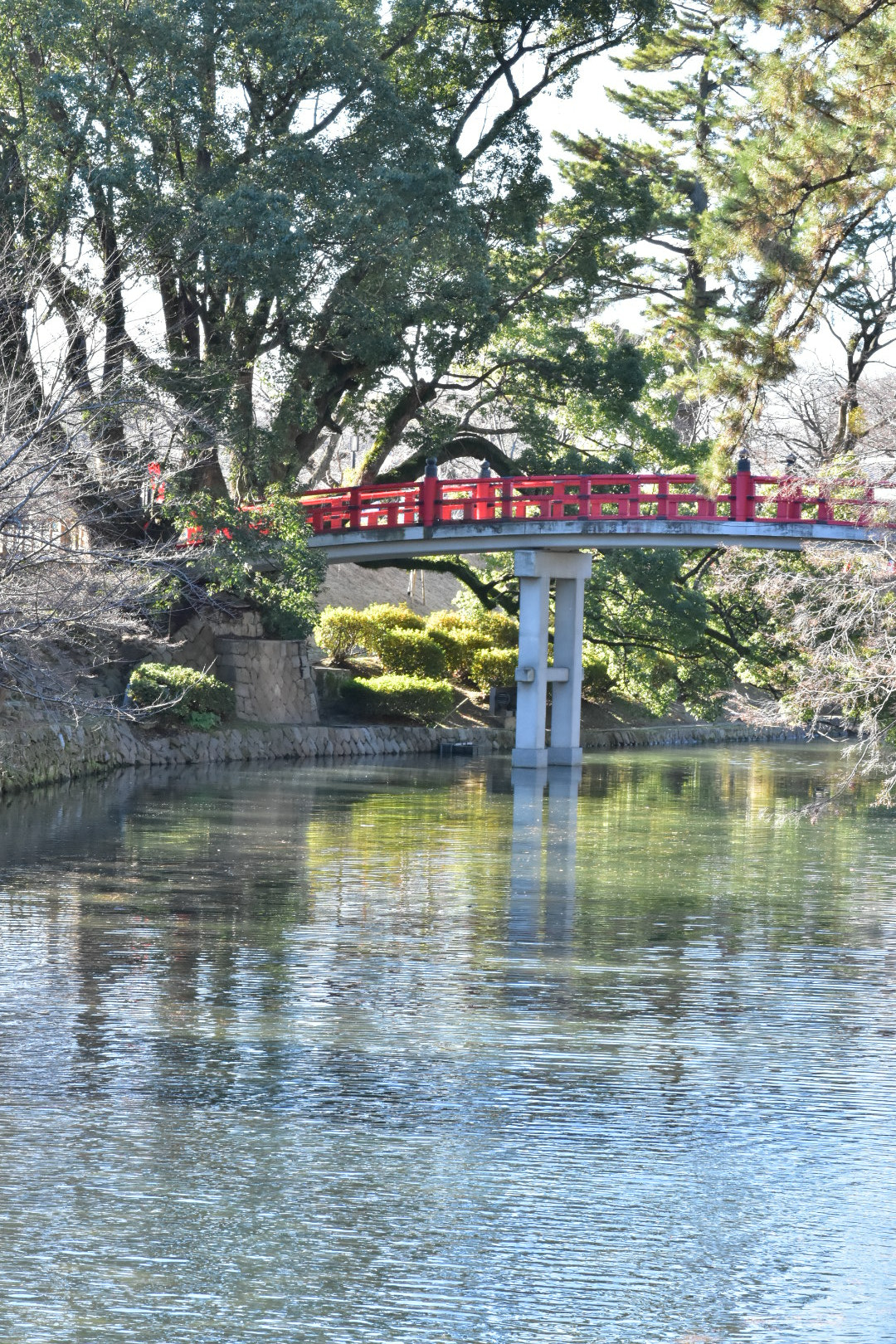 Nikon AF-S DX Micro-Nikkor 85mm F3.5G ED VR sample photo