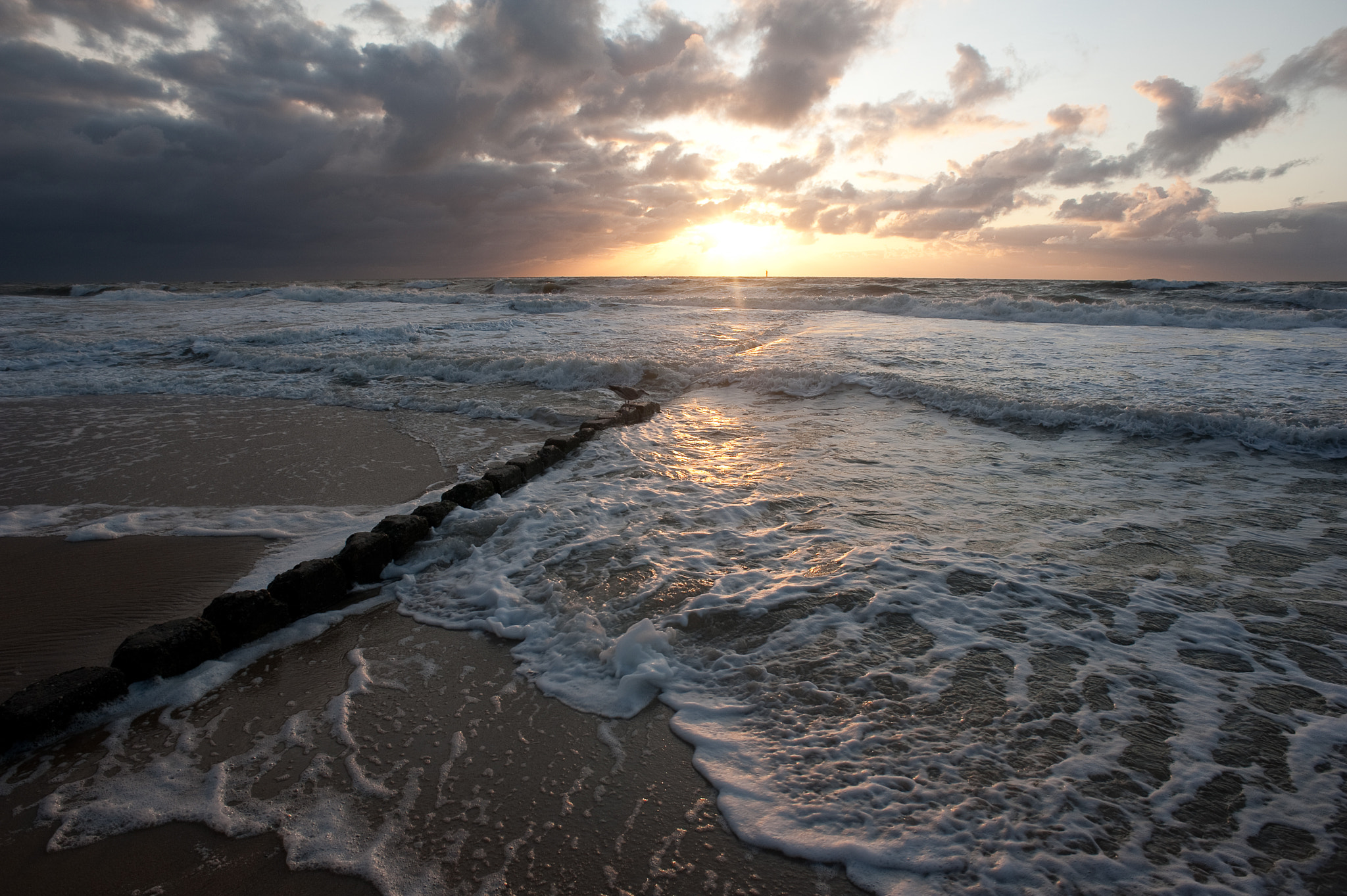 AF Nikkor 20mm f/2.8 sample photo. Sylt meer photography