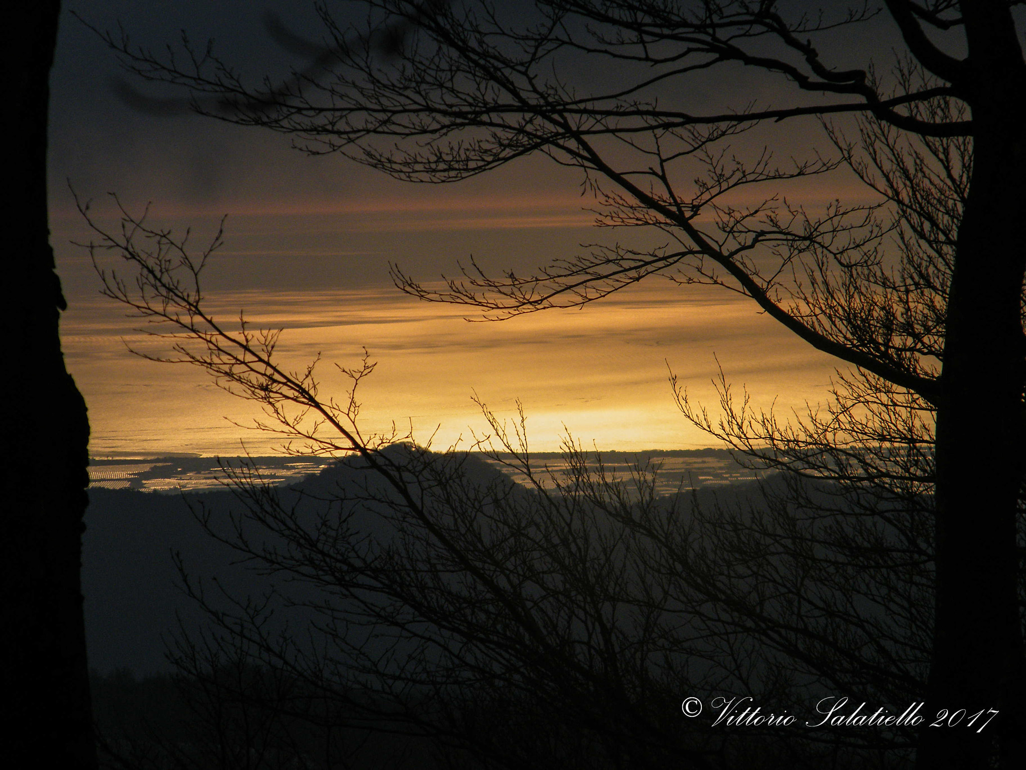 Fujifilm FinePix S2000HD sample photo. Image photography